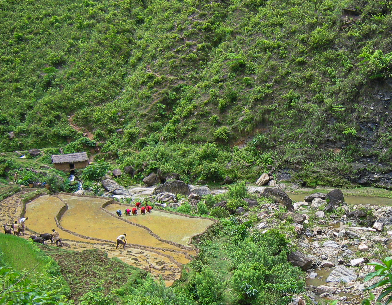 Leaving the Kathmandu Valley - people working in the fields