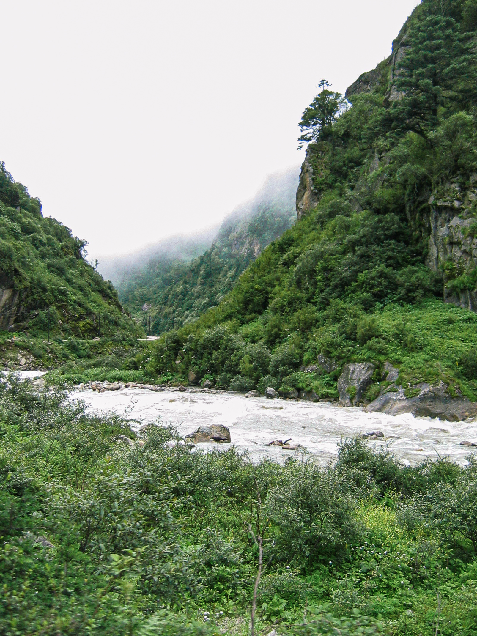 River and subtropical forest in Tibet.