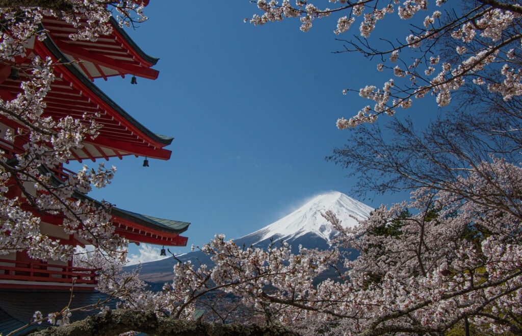 Japan - Mount Fuji with cherry blossom - Sakura