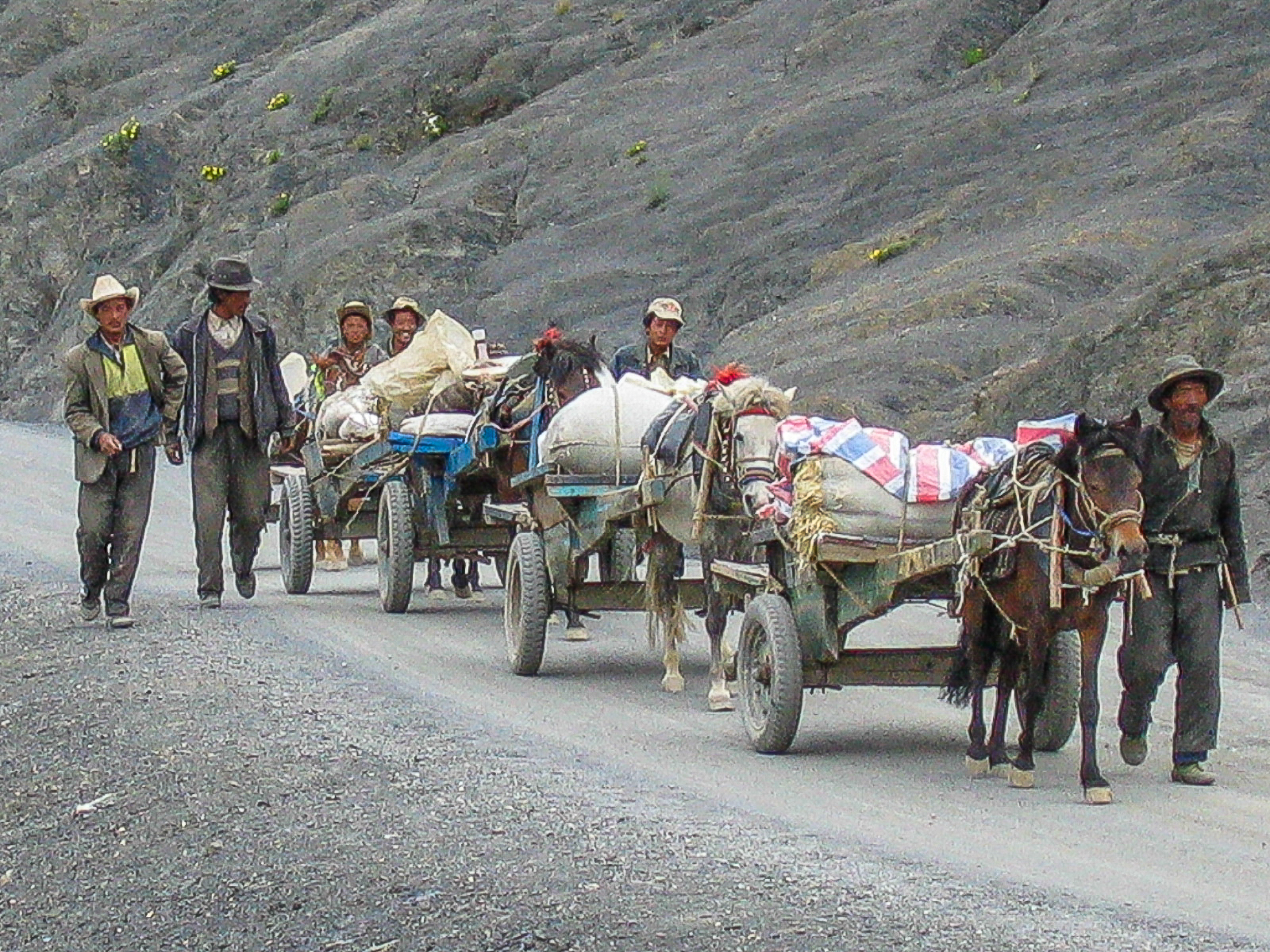 Tibetan travellers