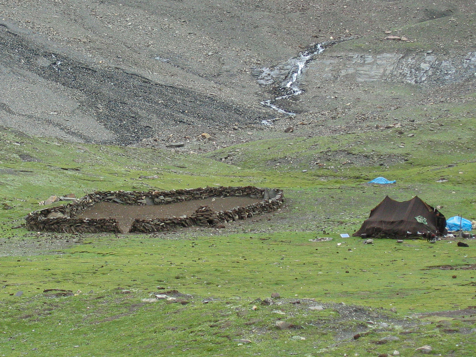 Nomadic life - Karola Pass - Tibet.