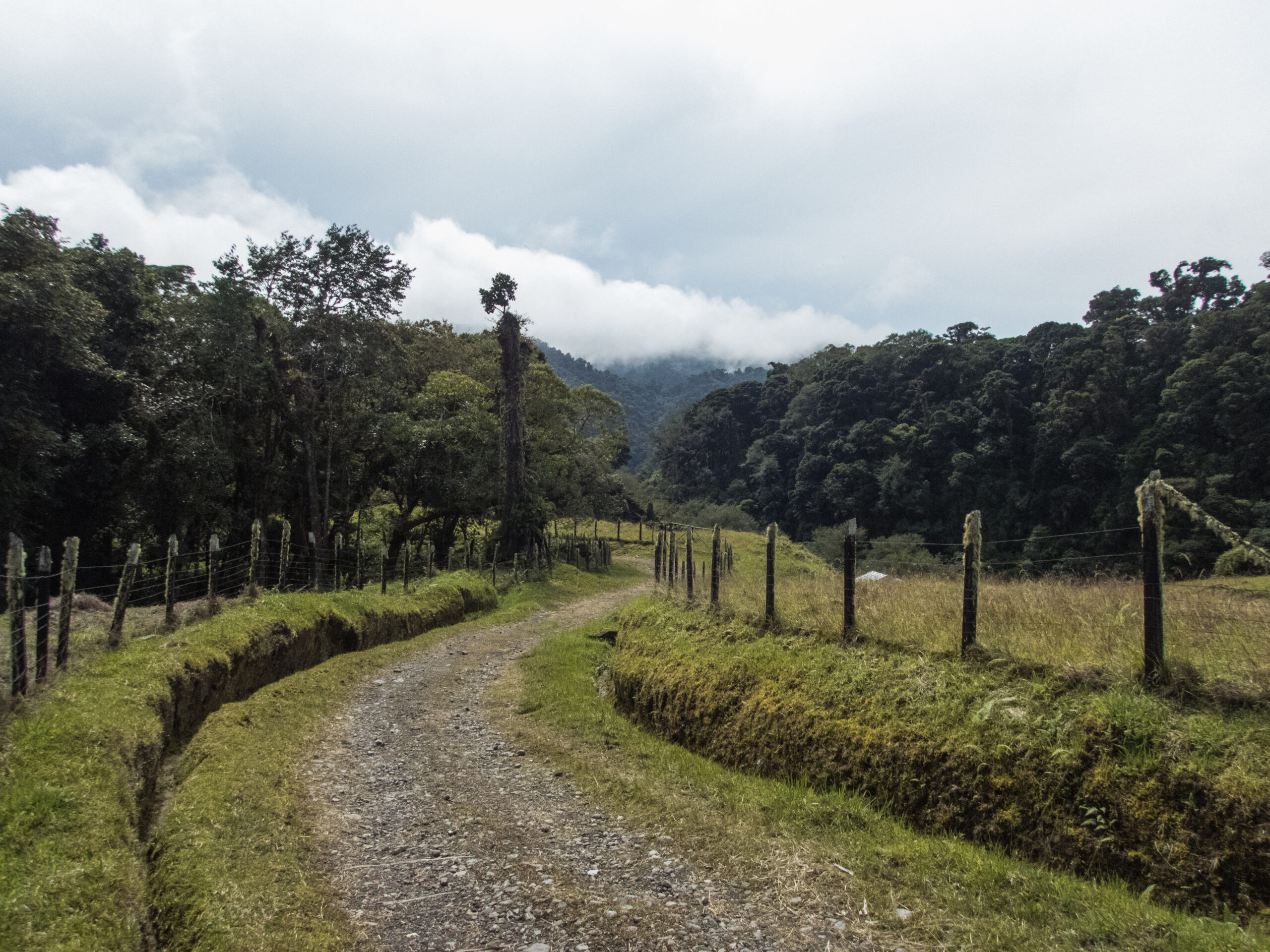 Panama - Boquete - Out in the countryside - you might even spot a quetzal if you're lucky!