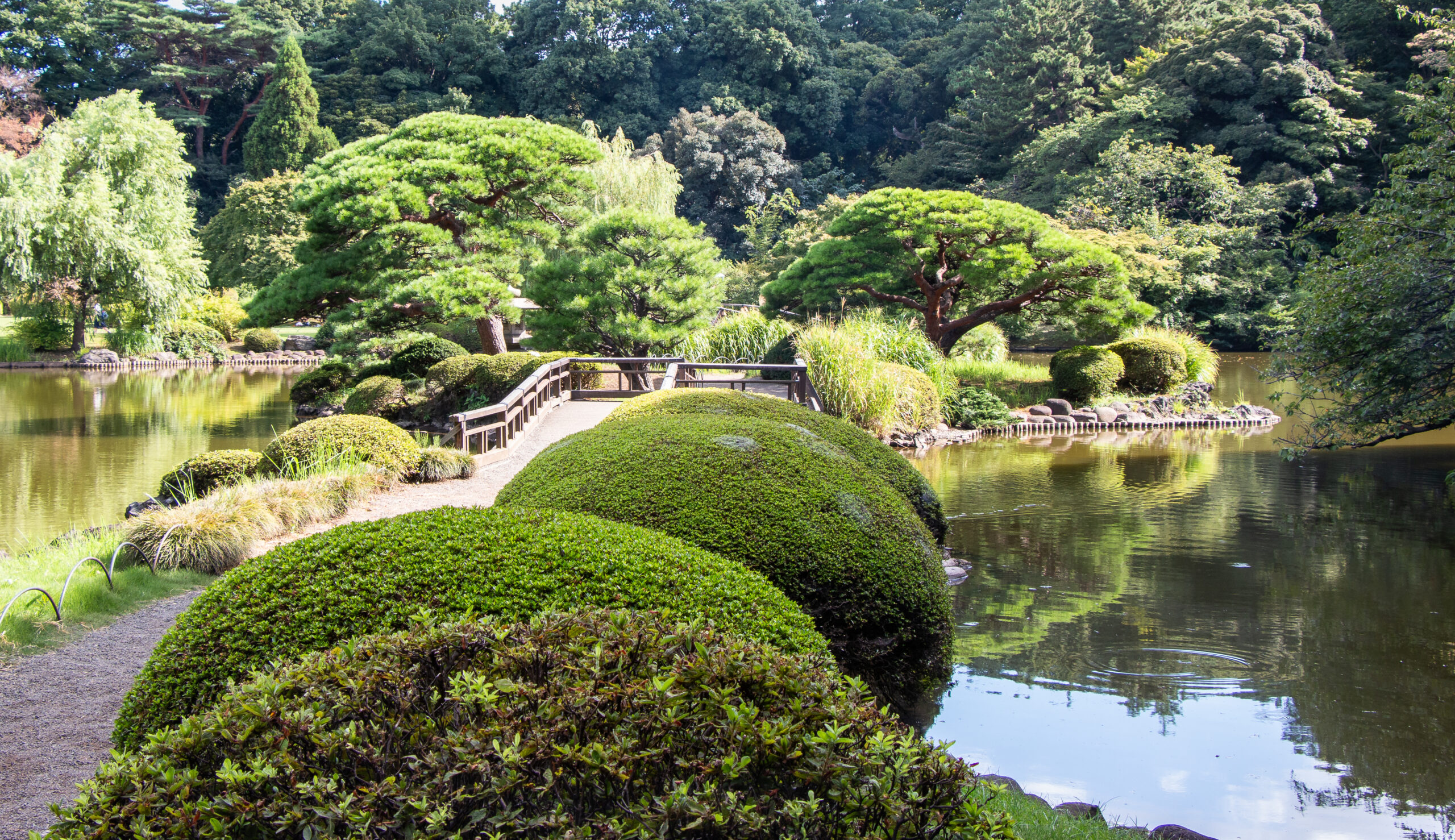 Tokyo - Peace in Shinjuku Park!