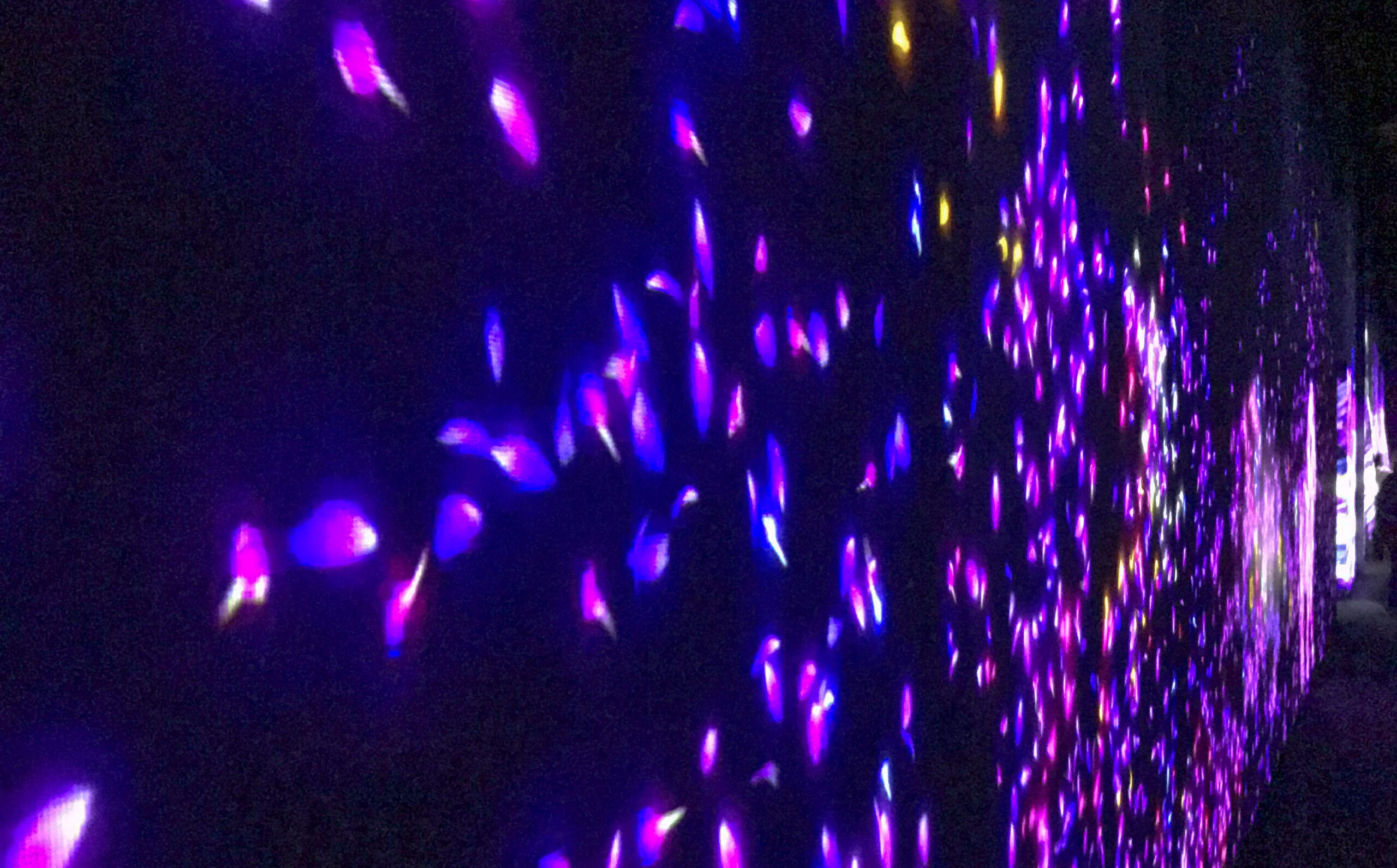 MORI building - Digital Art Museum - teamLab "Borderless Exhibition"