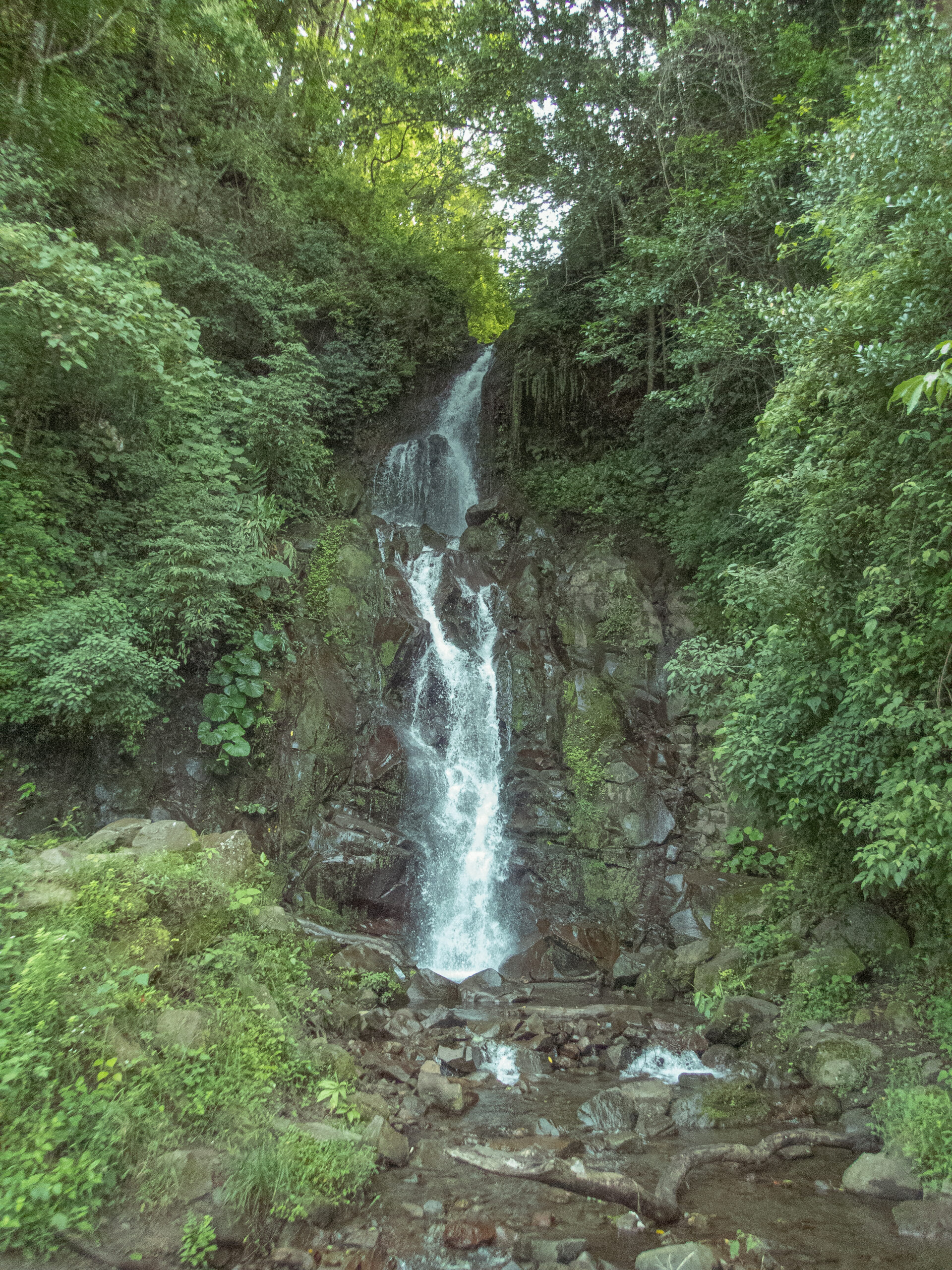 Panama, Boquete - San Ramón Waterfall