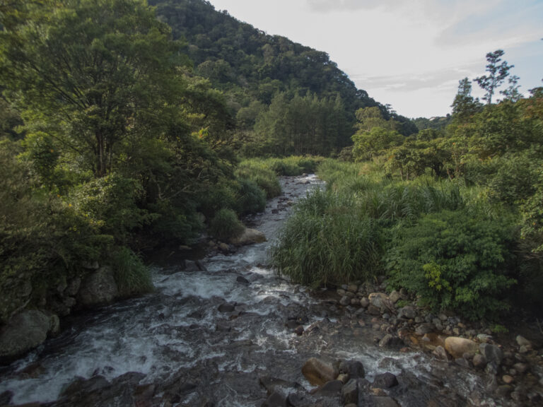 Boquete – In Search of the Quetzal