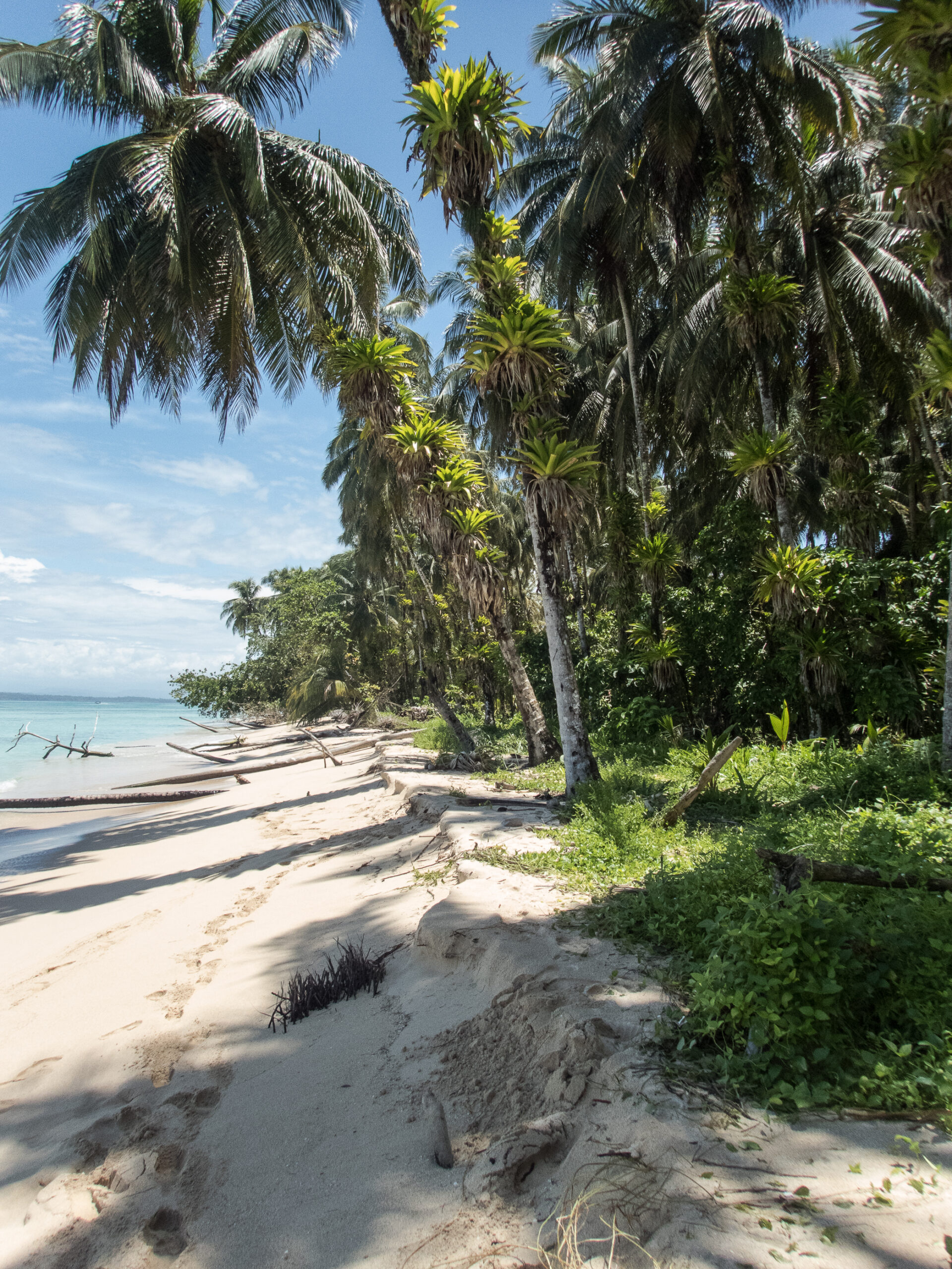 Panama - Bocas del Toro - Zapatilla Island