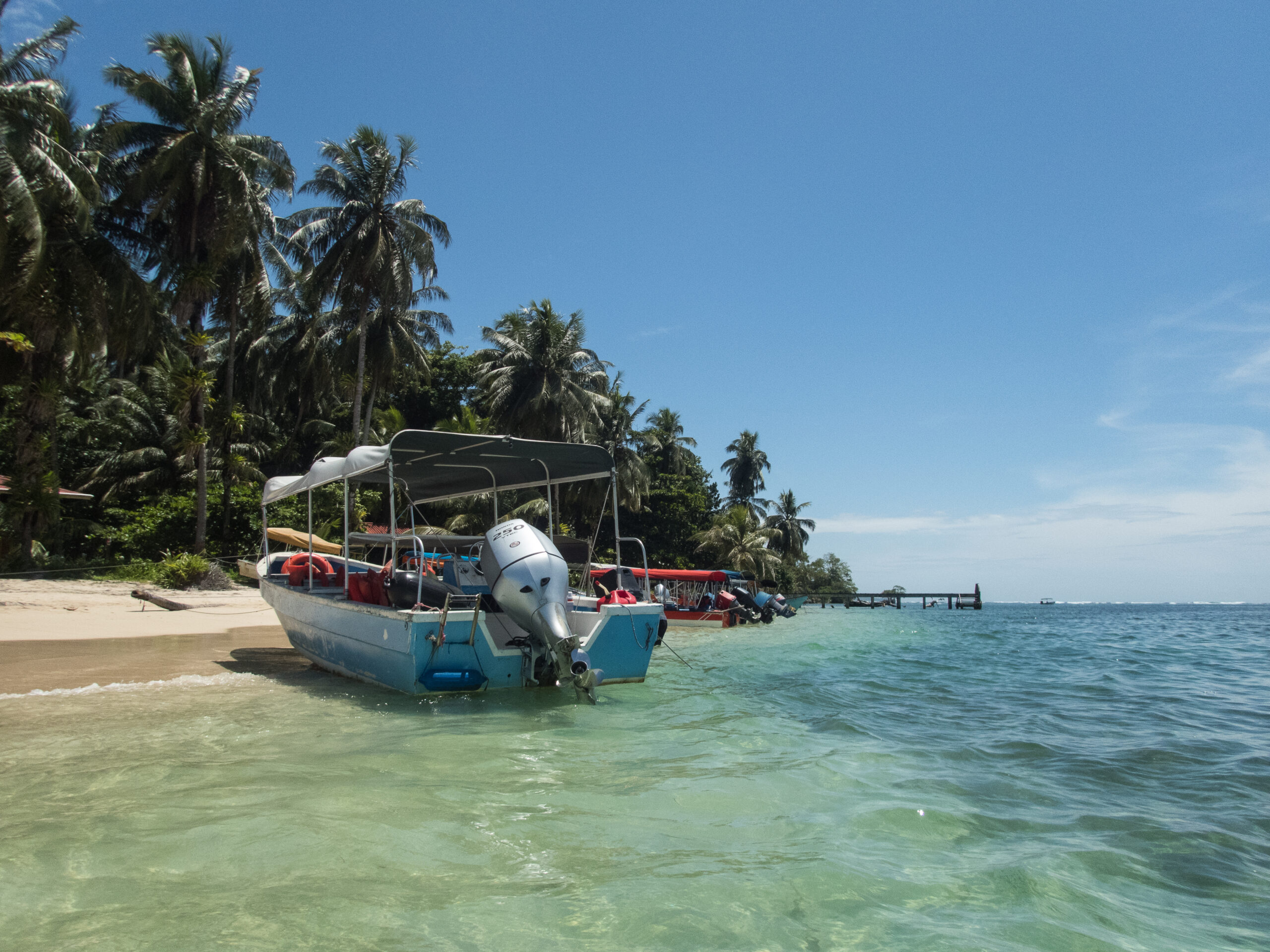 Panama - Zapatilla Island 