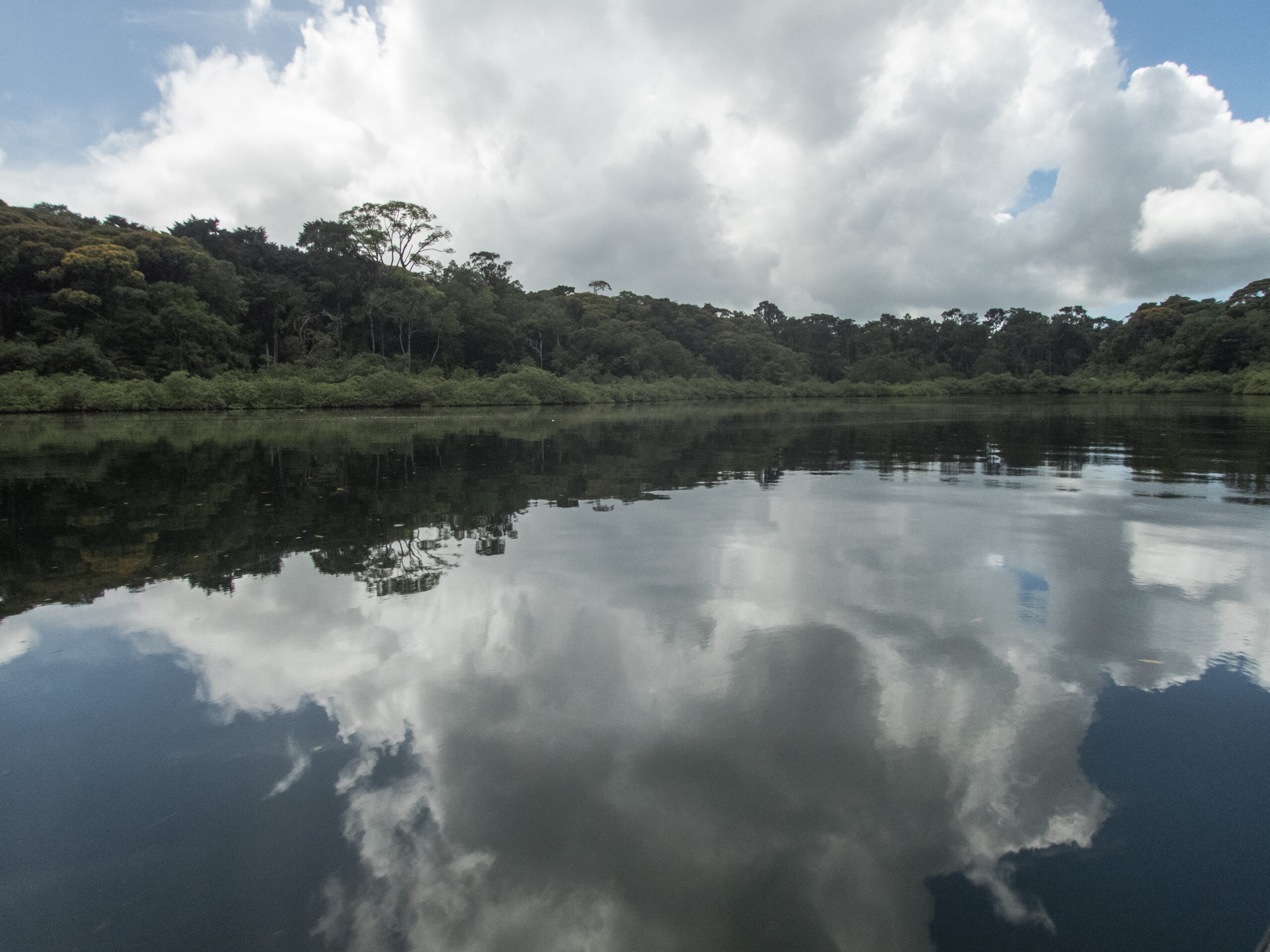 Panama - The Islands of Bocas del Toro - Bastimento Island