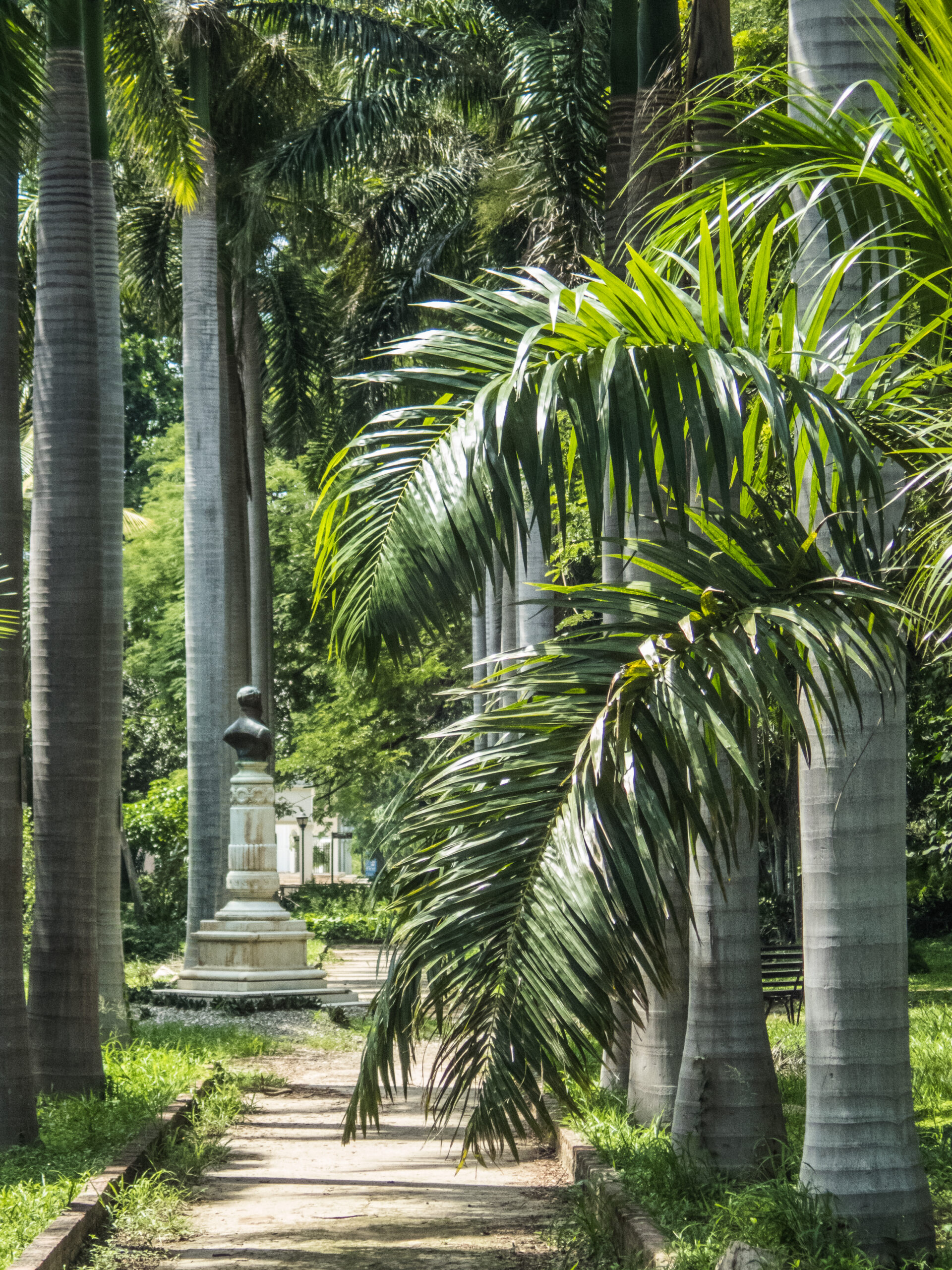 Gardens od La Quinta de San Pedro Alejandrino