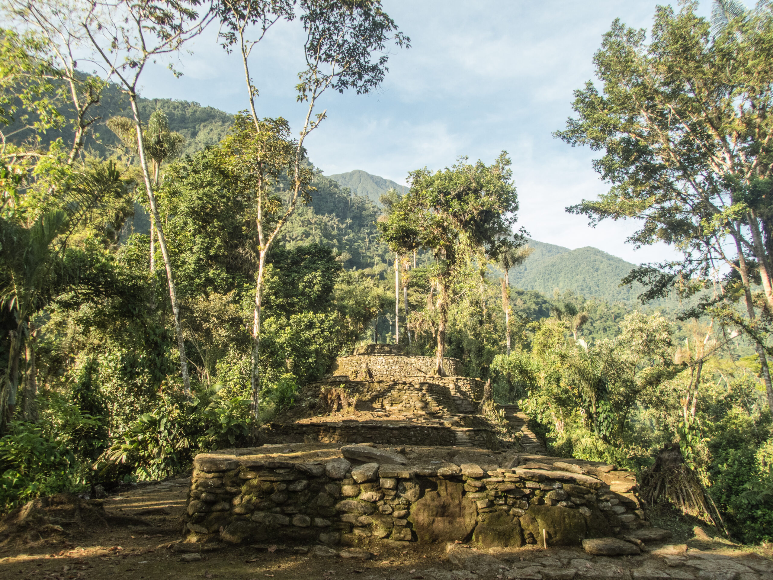 Platforms at The Lost City, Colombia