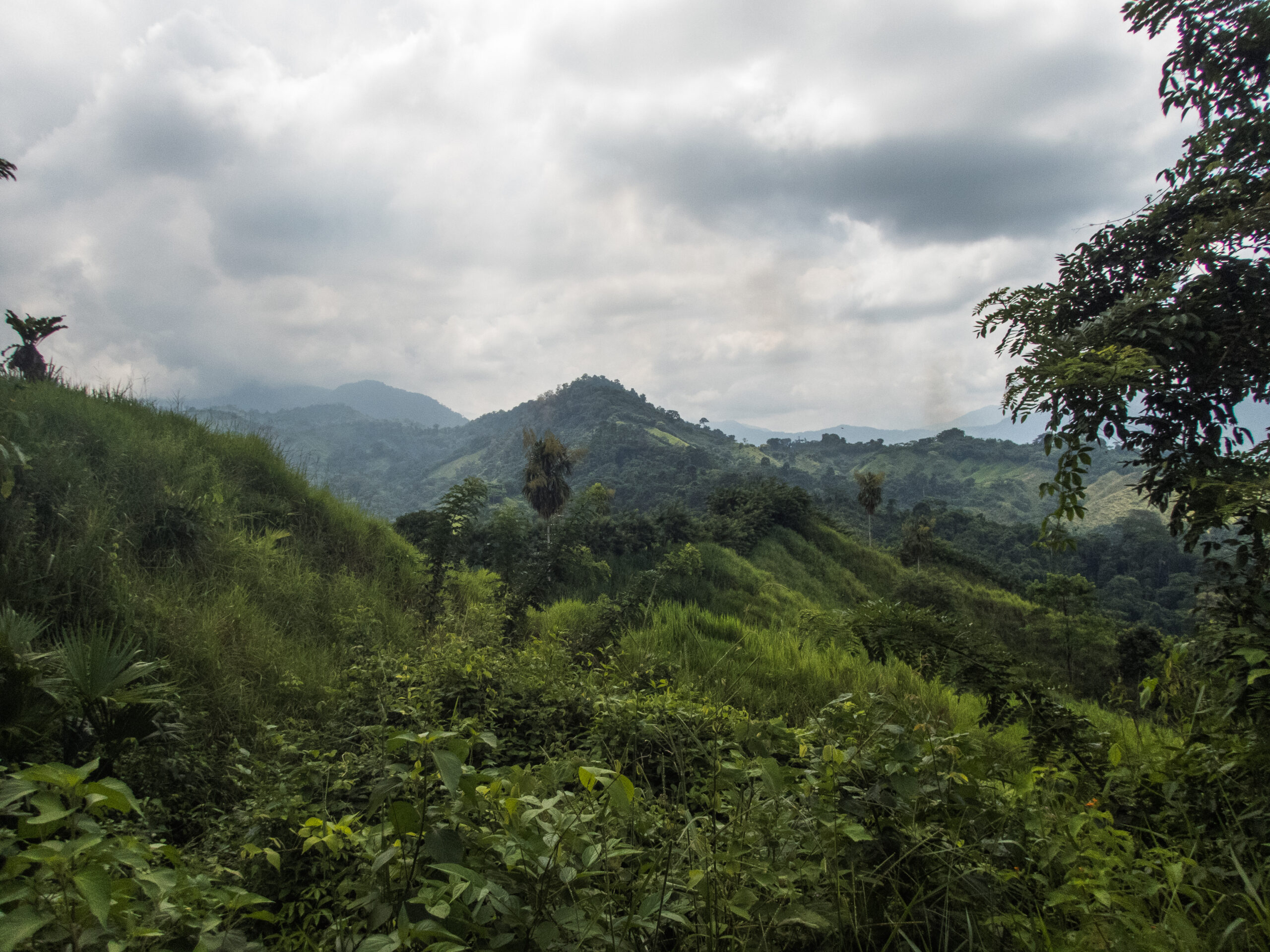 The Lost City - Colombia - the views from the beginning of the trail