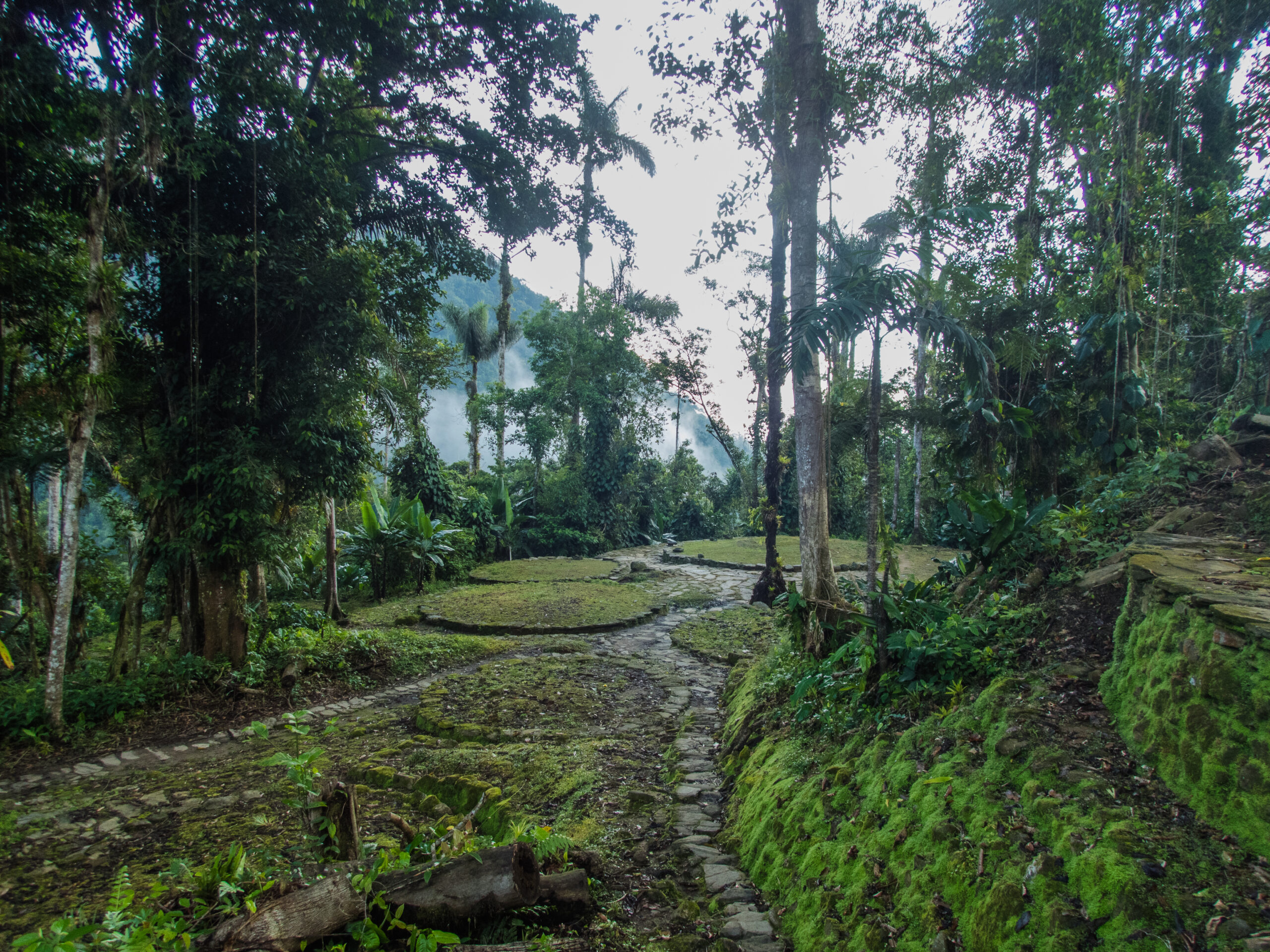 Lower site at Teyuna - The Lost City, Colombia