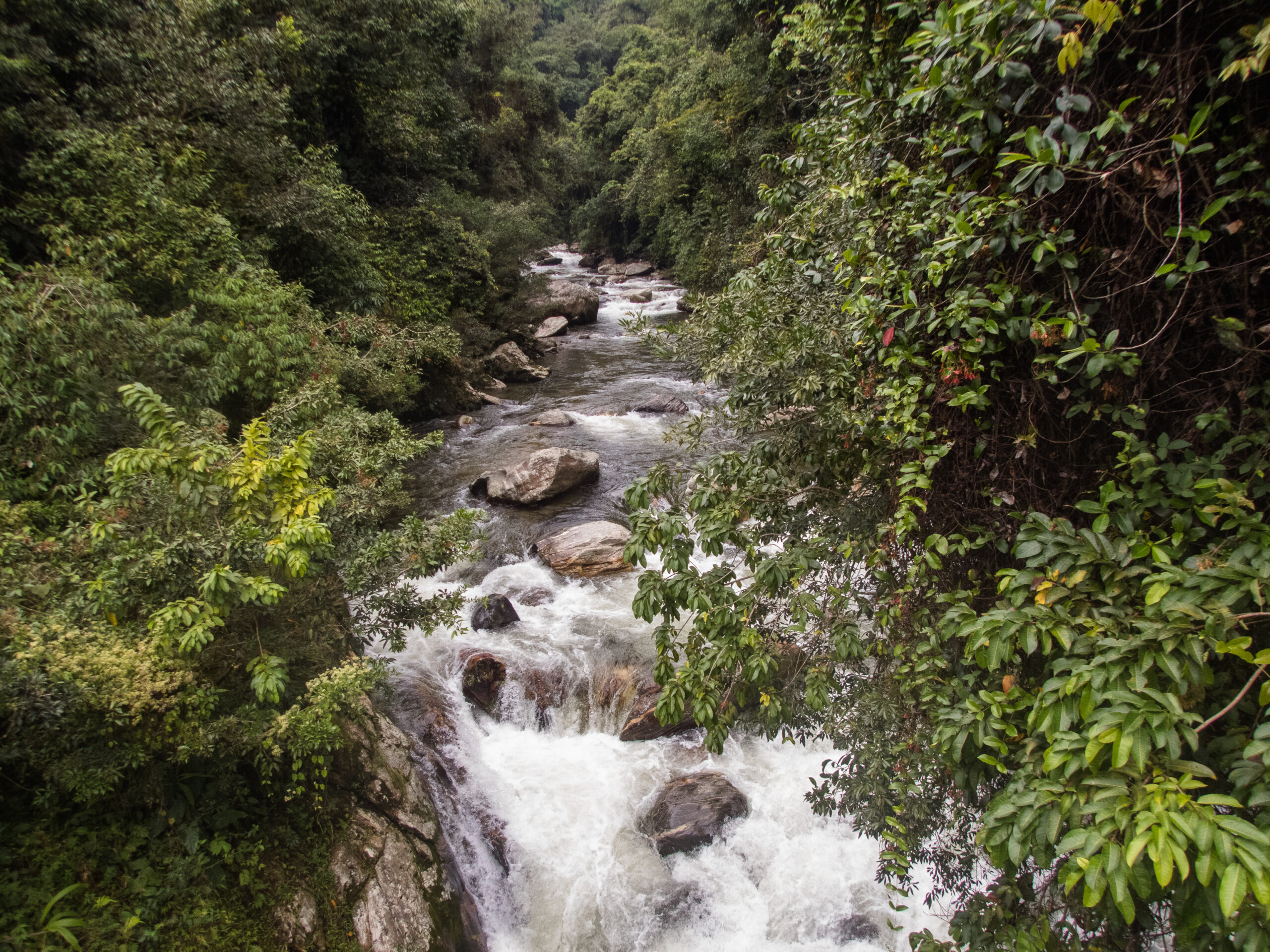 The Lost City - A river to cross