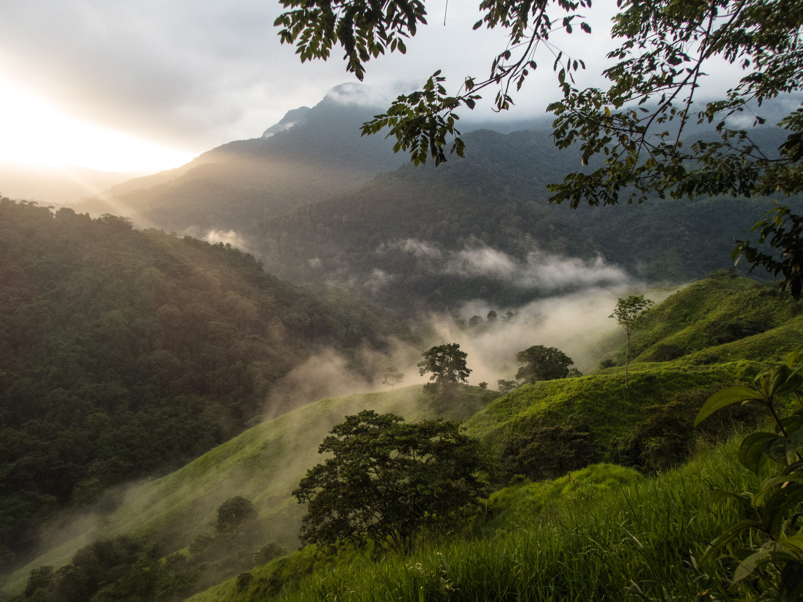 The Lost City - Colombia - The amazing sunrise view from Casa Alfredo's