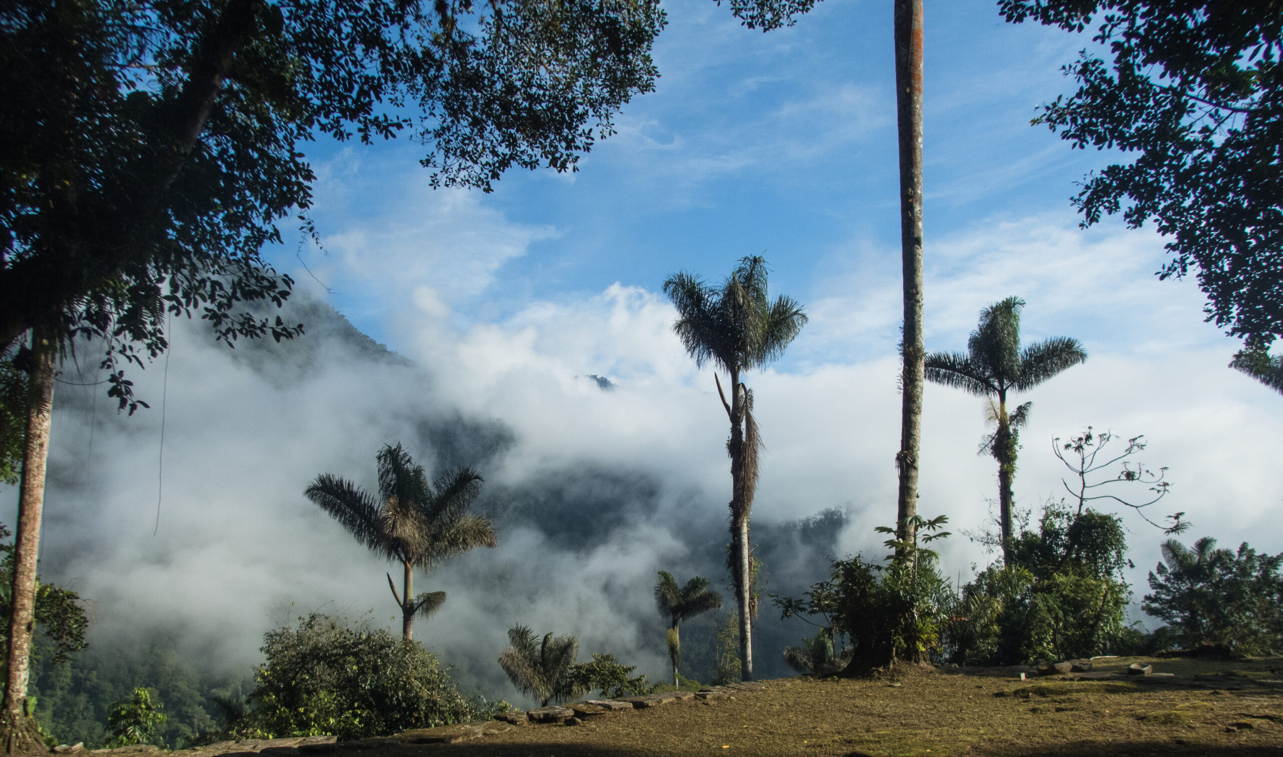 Views from the Lost City, Colombia