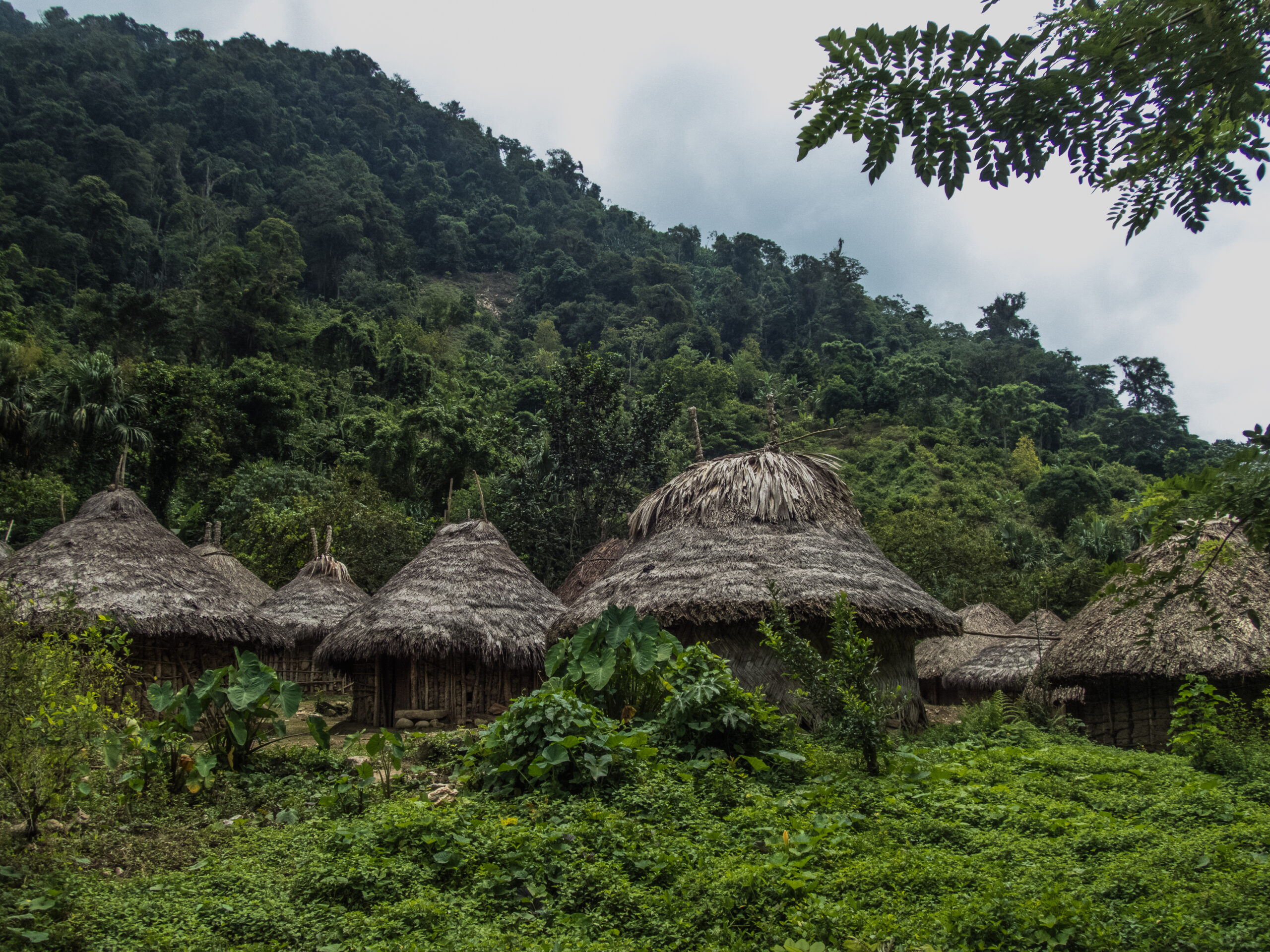 Traditional houses in a Wiwa Village - the trail to The Lost City, Colombia.