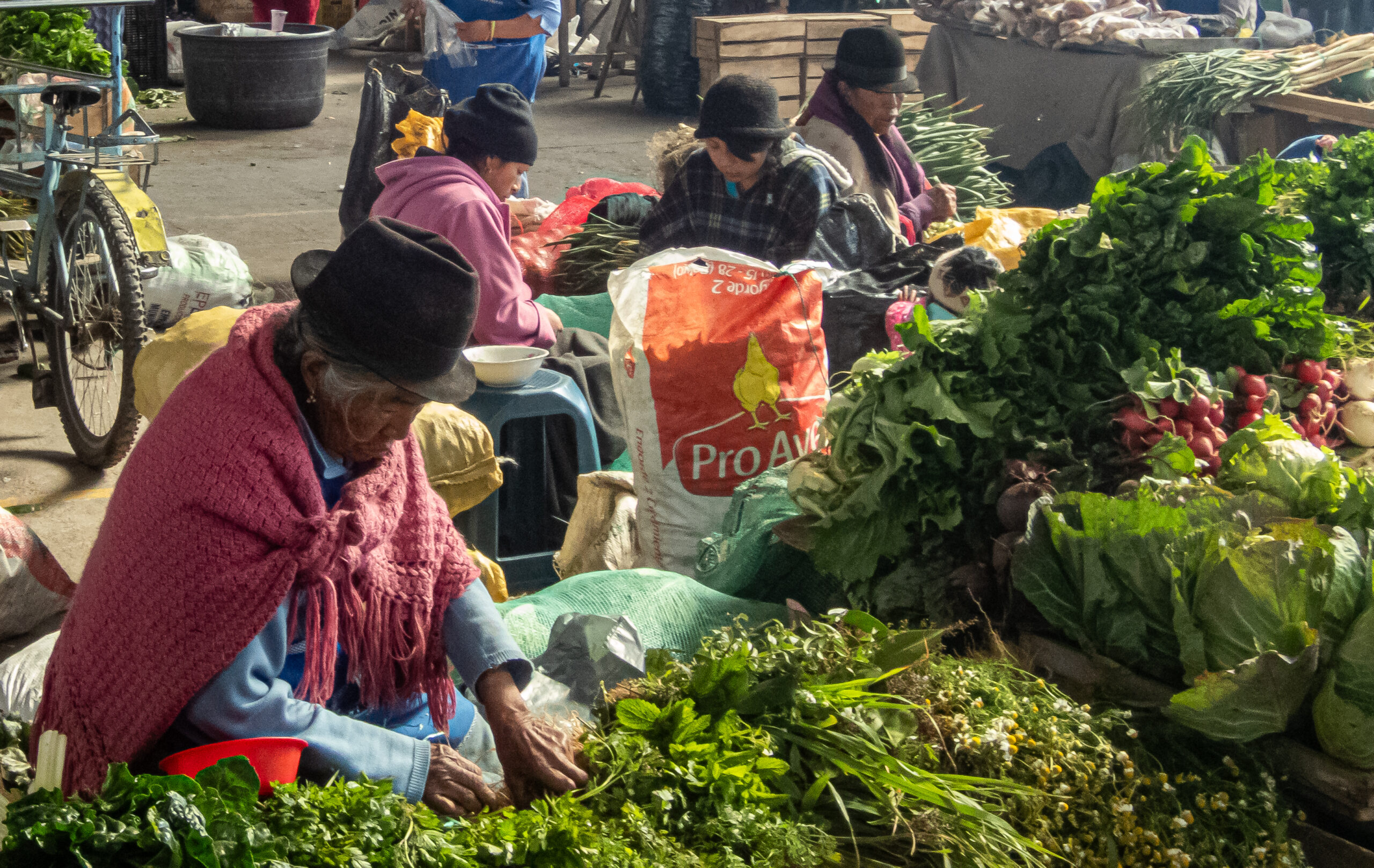 Saquisili Market - women in traditional clothing selling herbs and greens 