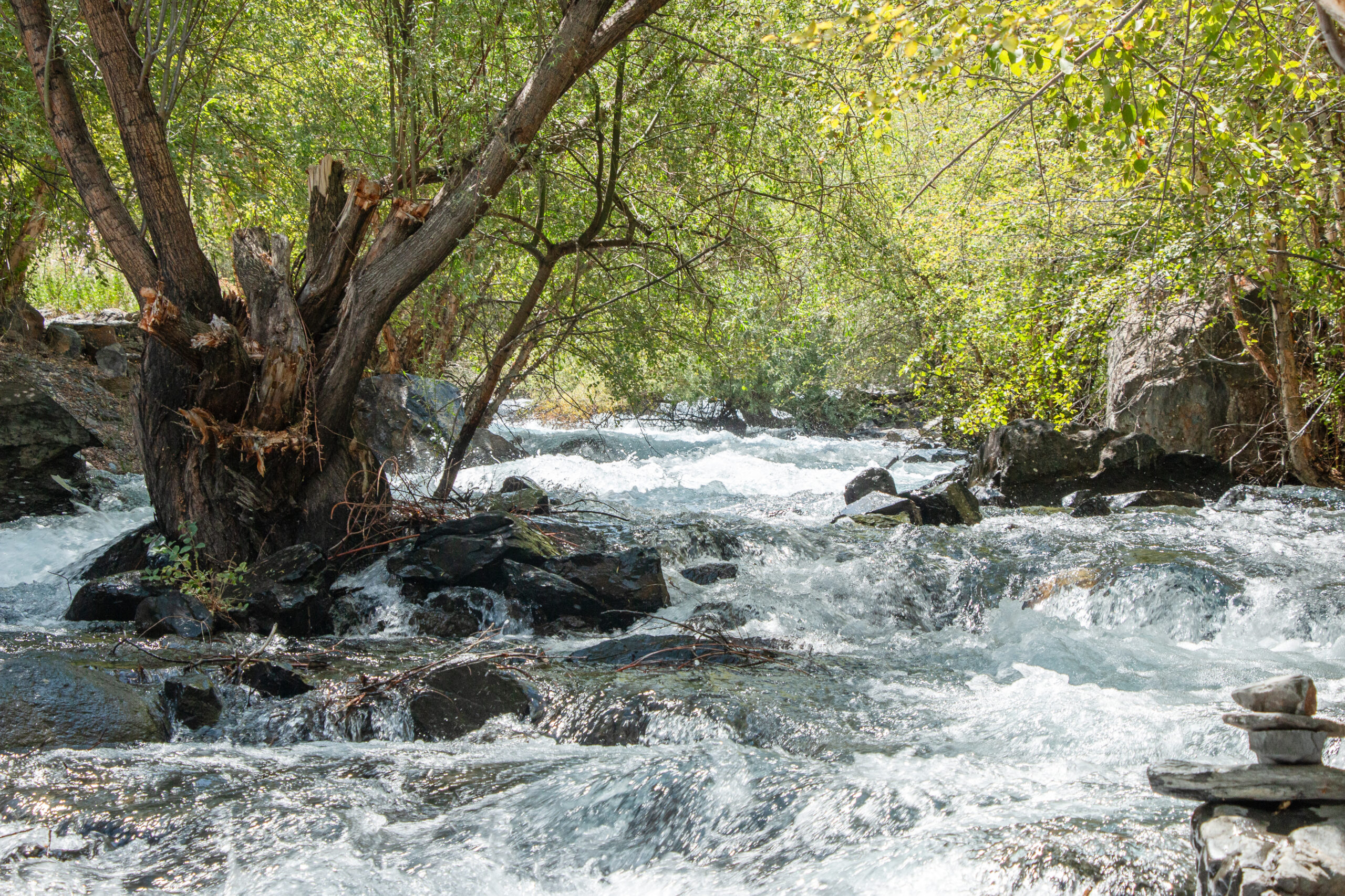 Tajikistan - a raging tributary on the way to Jizew