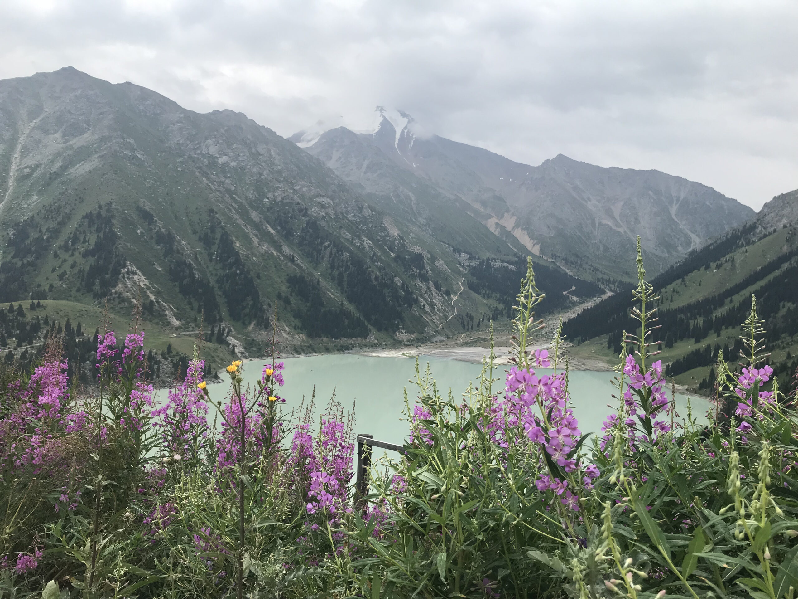 Big Almaty Lake, Kazakhstan - a snowy summit, the lake and wildflowers