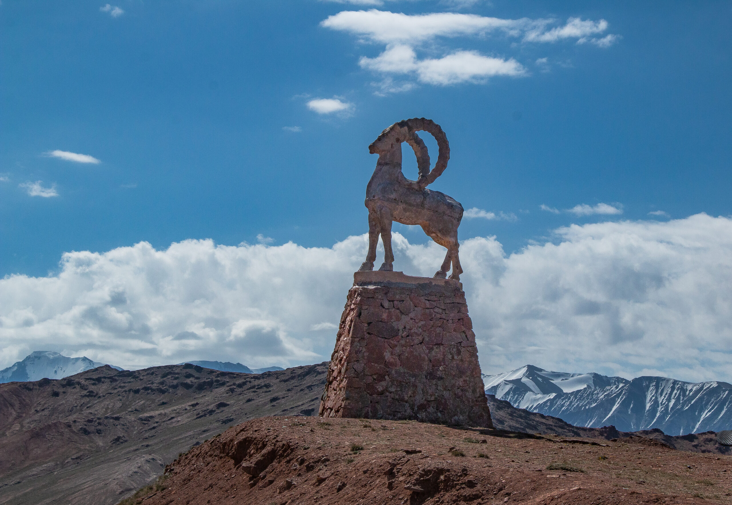 Tajikistan and Kyrgyzstan border - state of The Marco Polo Sheep