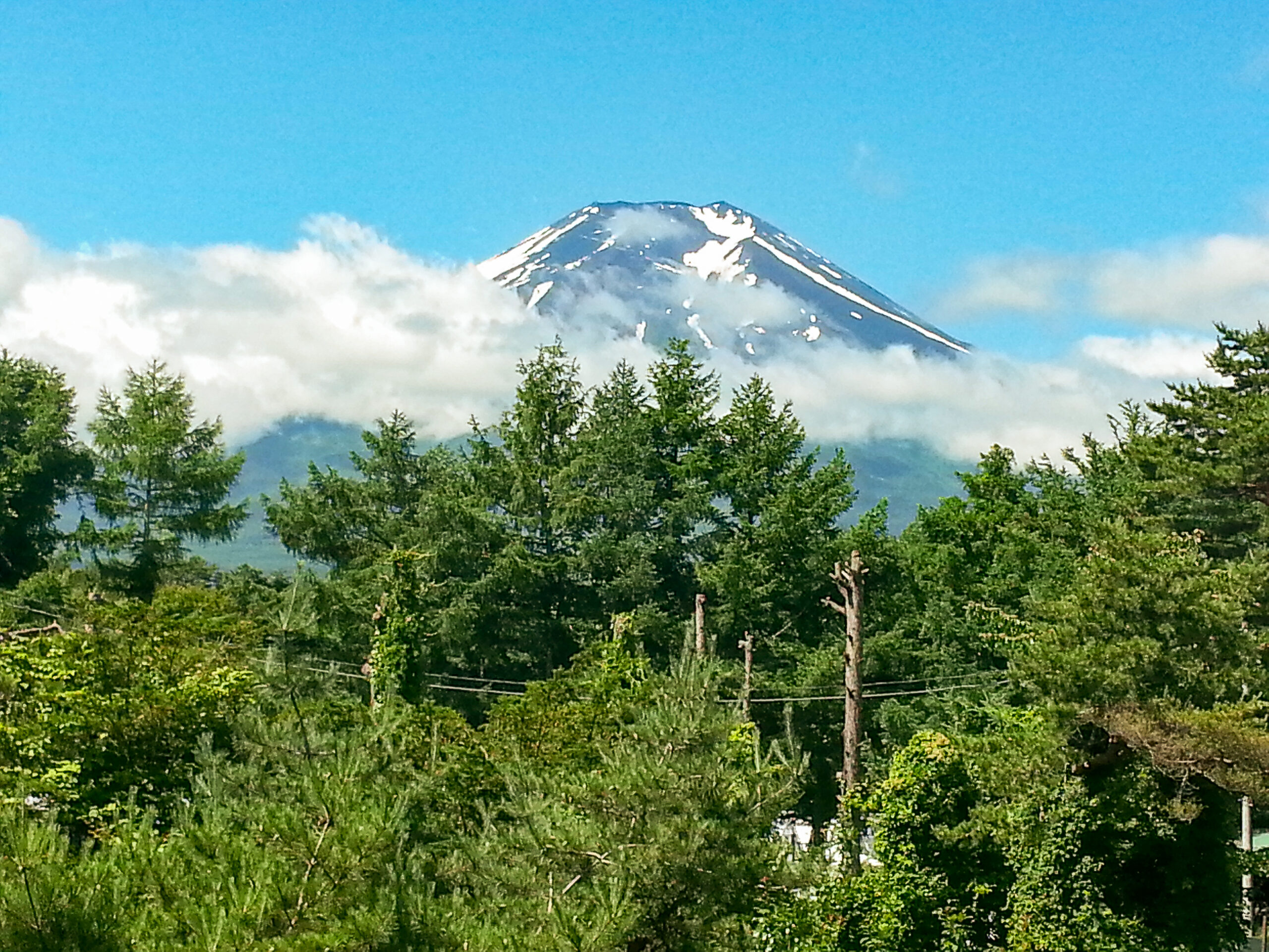 Mount Fuji - A room with a view