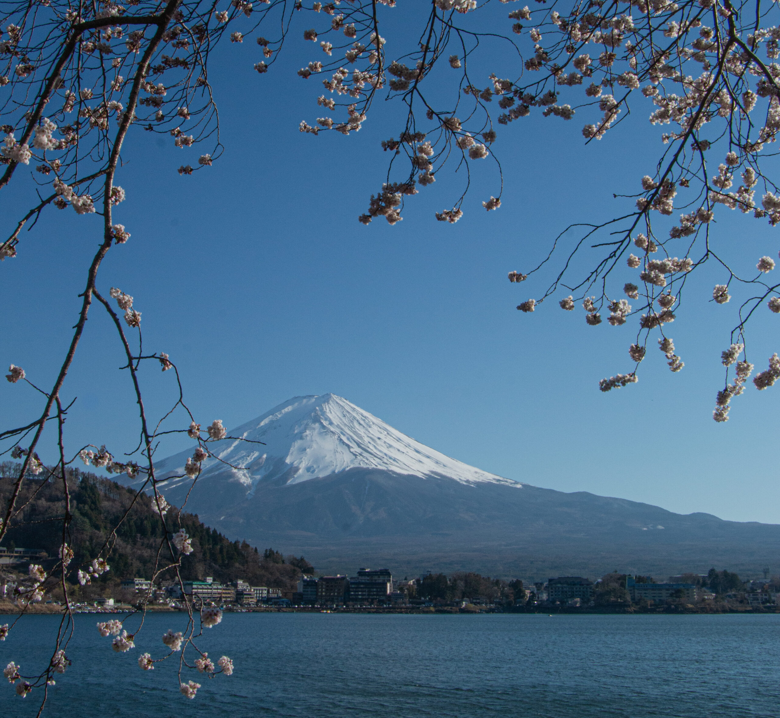 Mount Fuji and Kawaguchiko