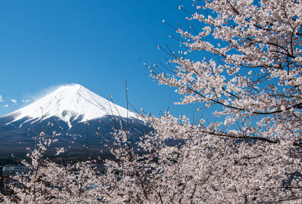 Mount Fuji from Arakurayama Sengen Park