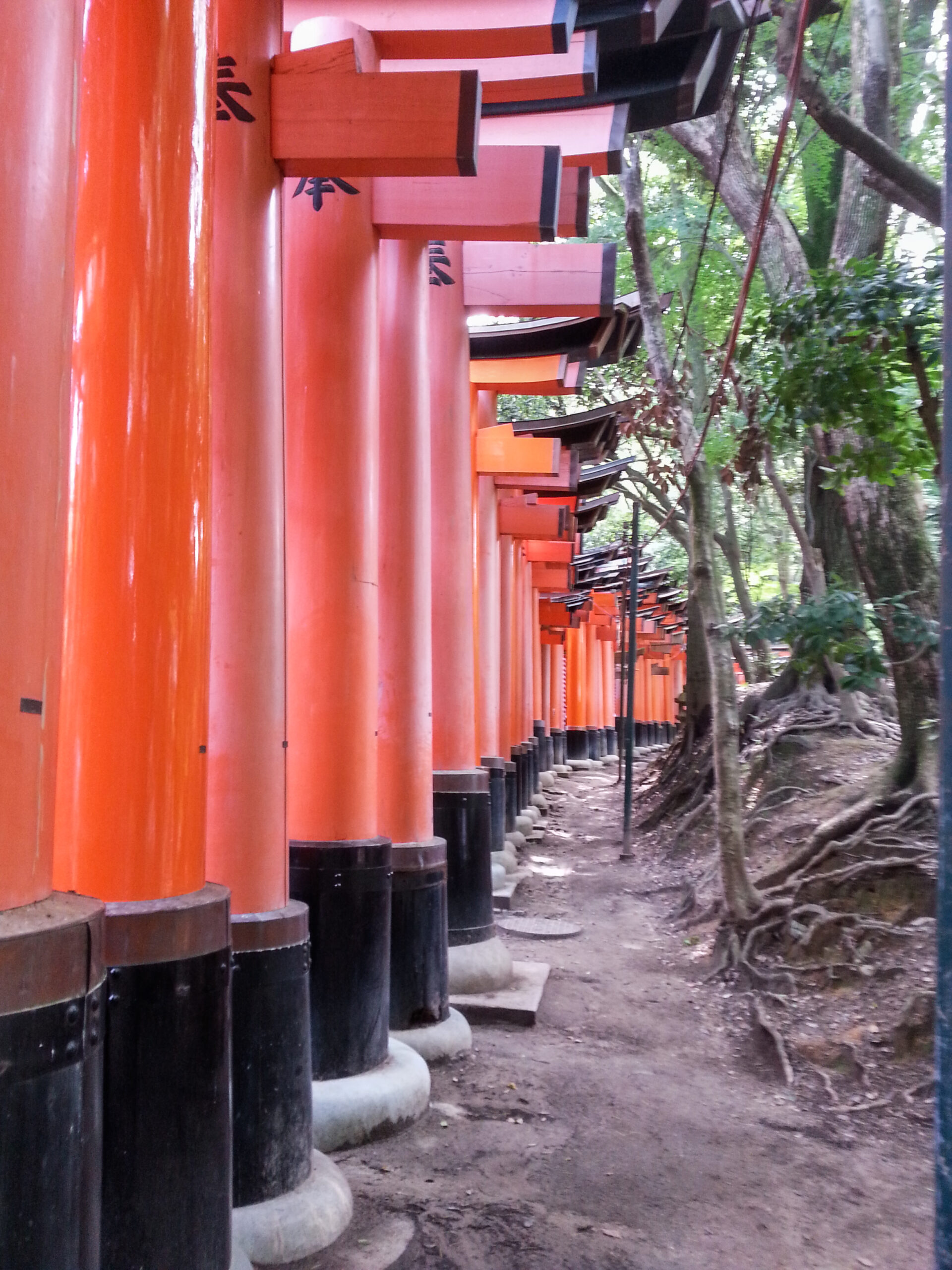 Kyoto - Fushimi Inari Taisha - a multitude of red Torii gates