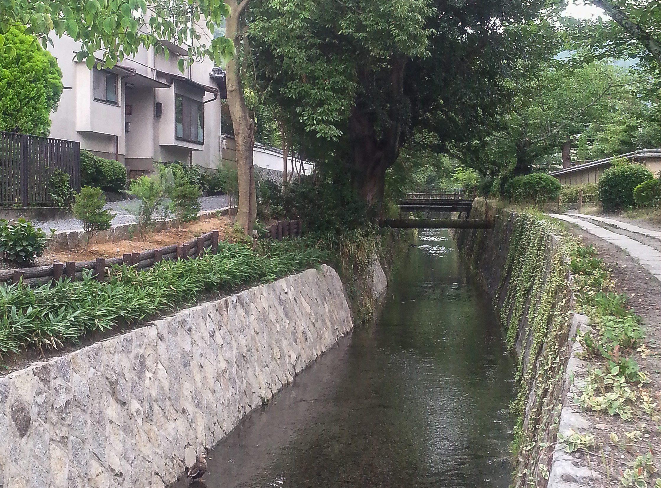 Kyoto - The Philosopher's Path