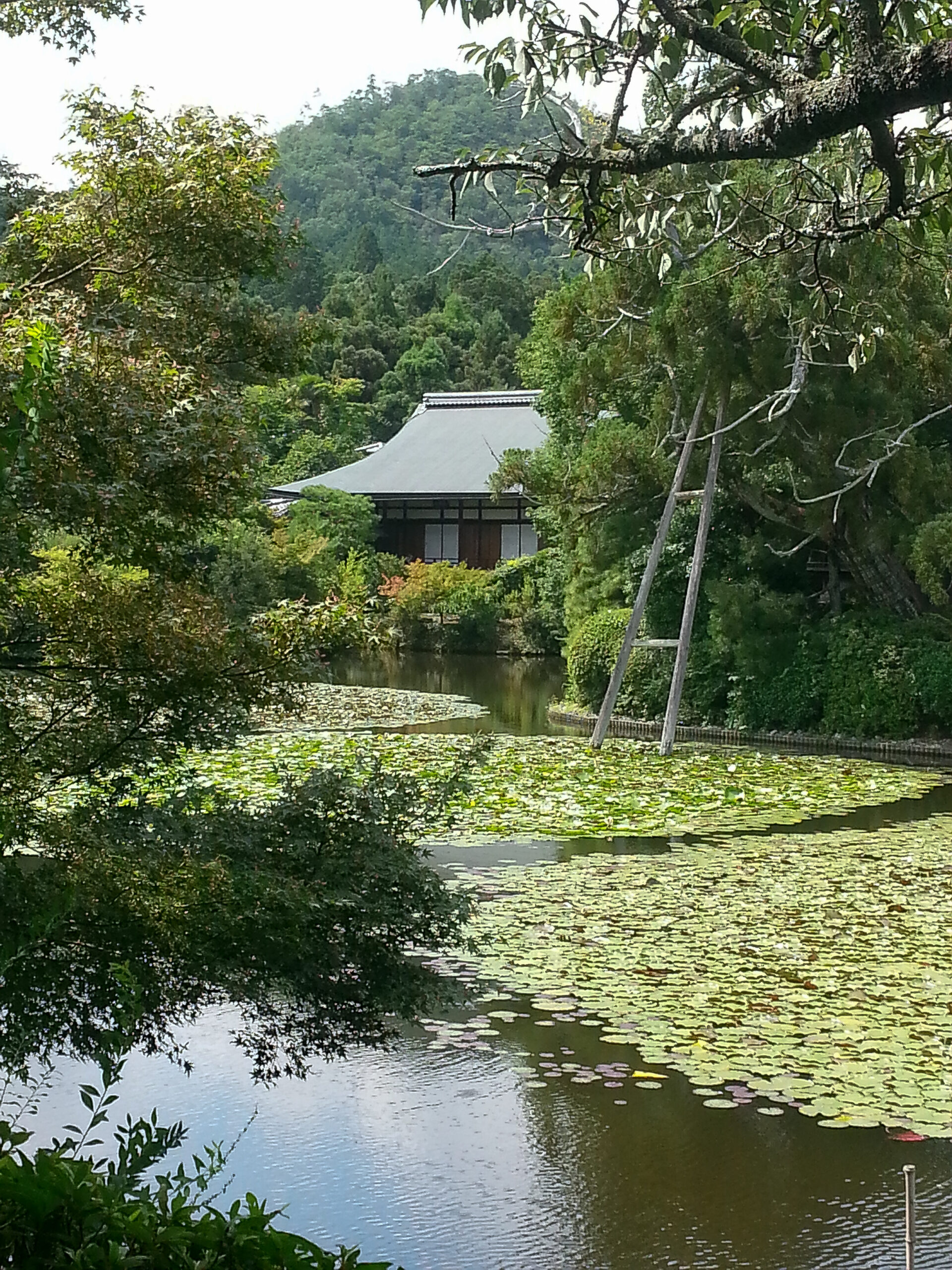 Kyoto - Ryoan-ji Kyoyochi Pond