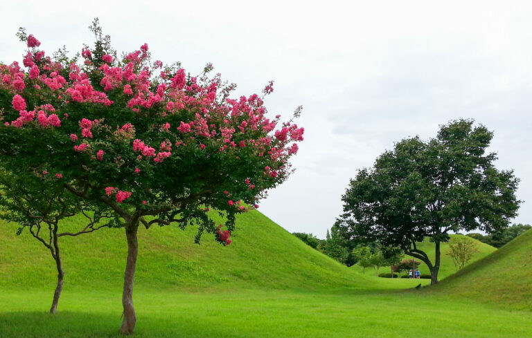 Gyeongju