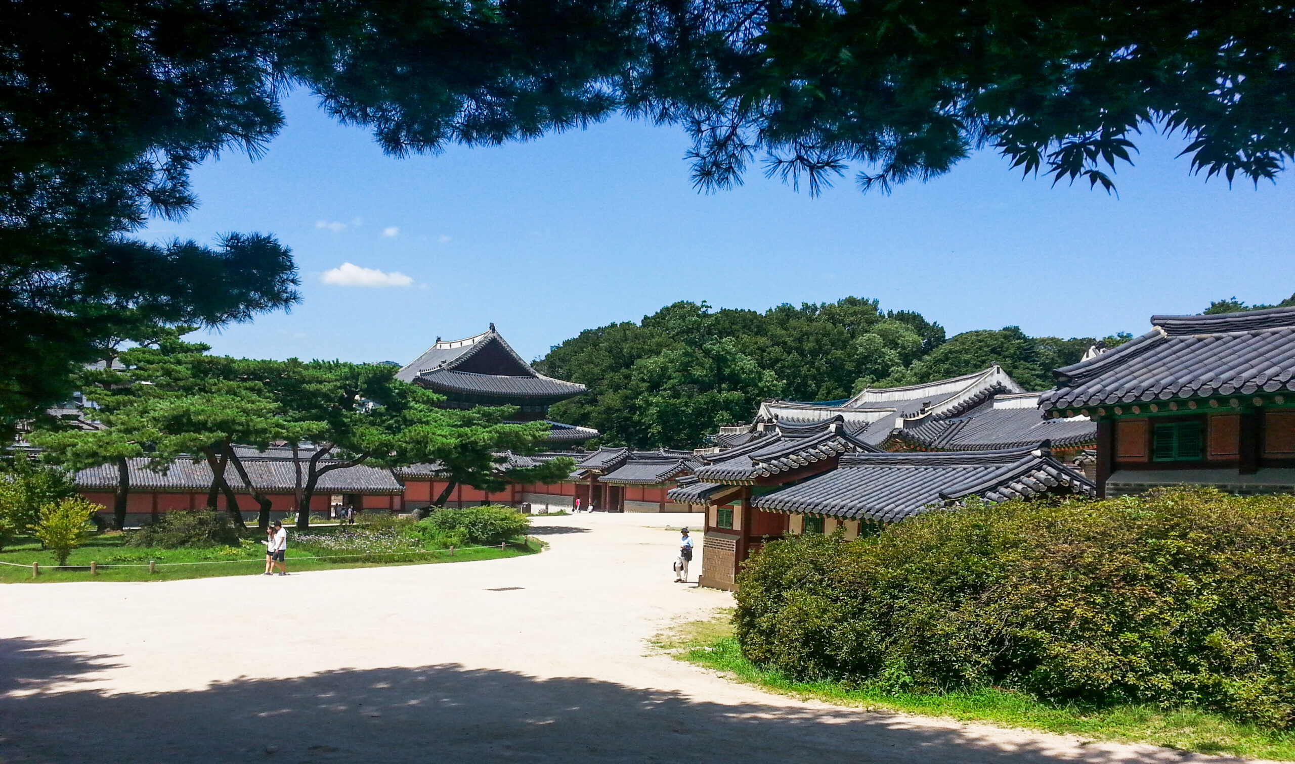 South Korea - Seoul - Changdeokgung Palace gardens