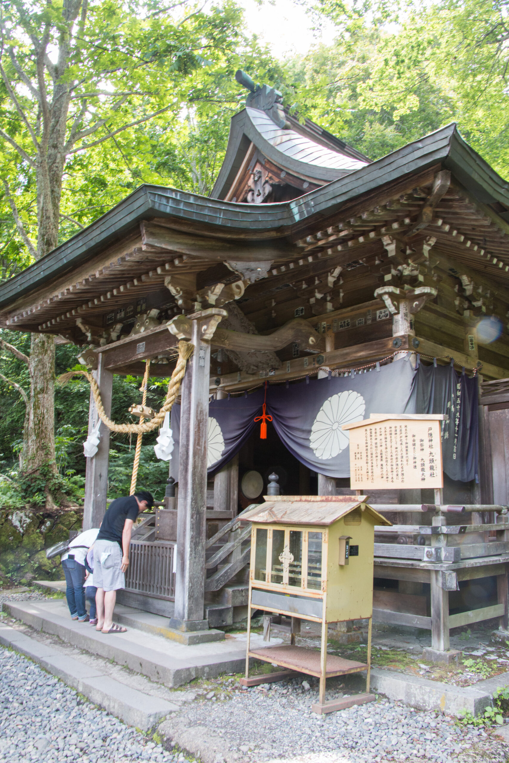 Japan - the cedar-tree-flanked path to Togakushi Upper Shrine 