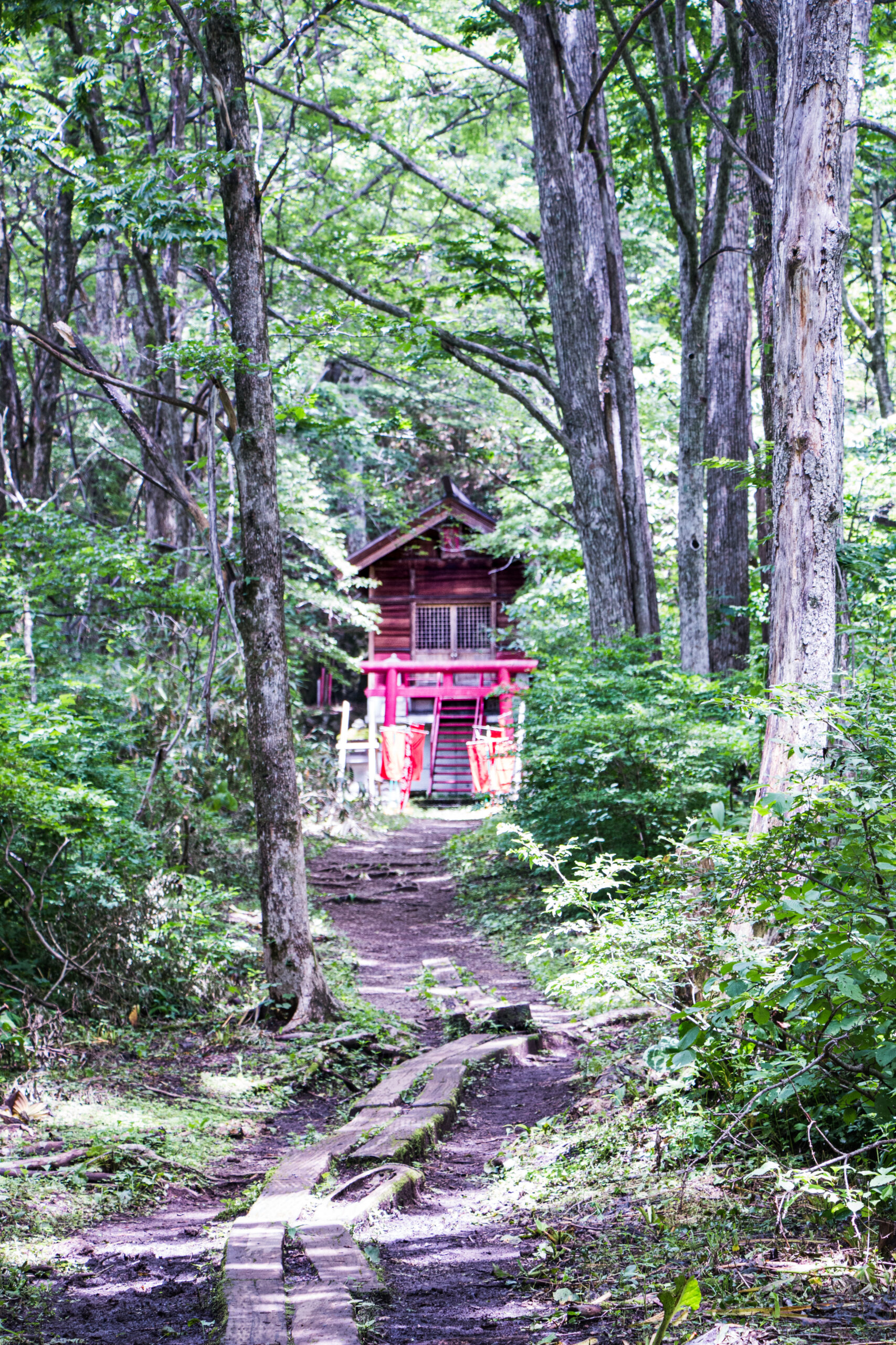 Japan - Nagano - Togakushi forest and shrine