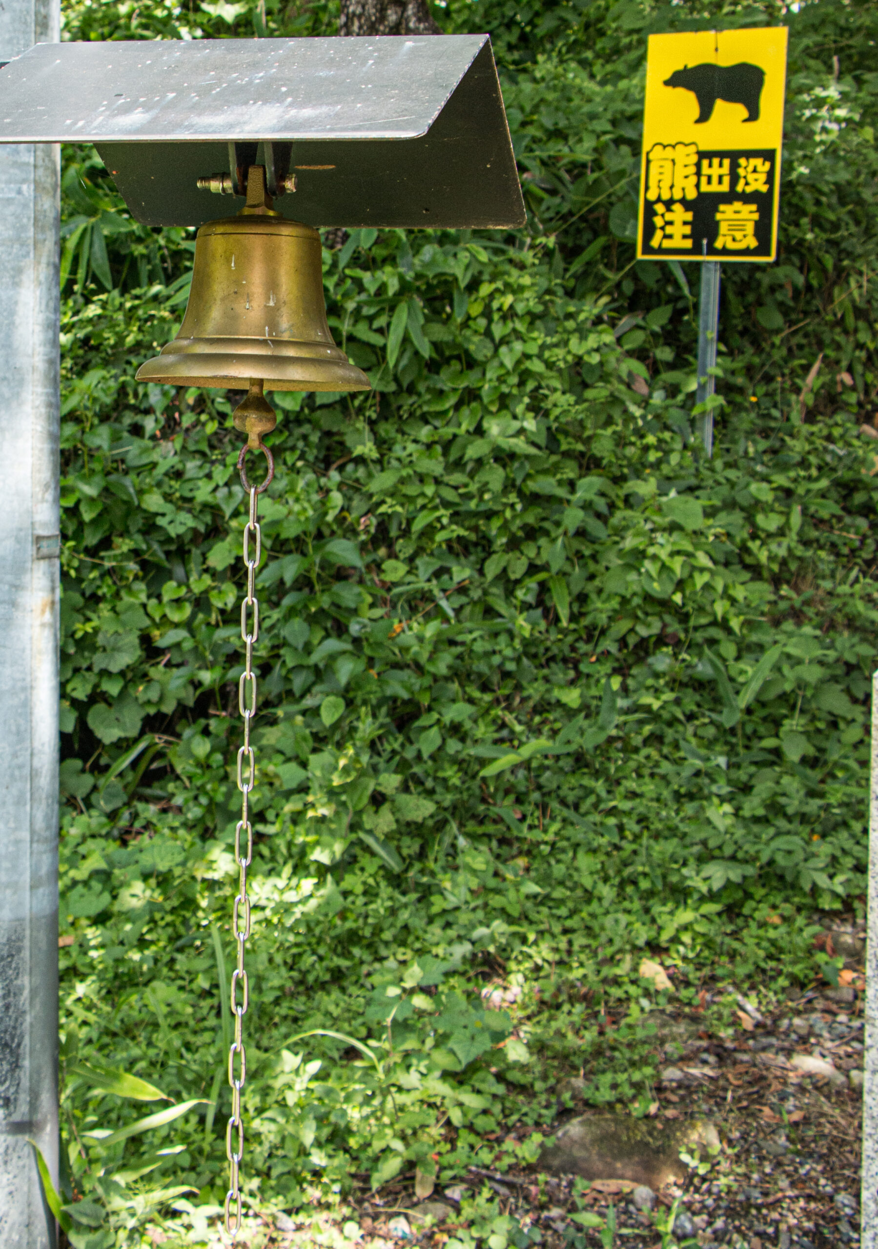 Japan - Watch out for bears