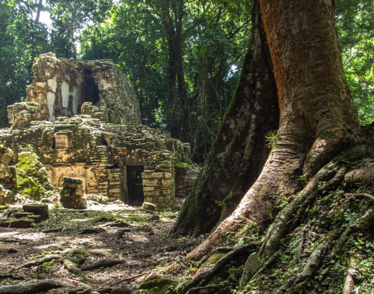 Yaxchilan – A Hidden Mayan Gem