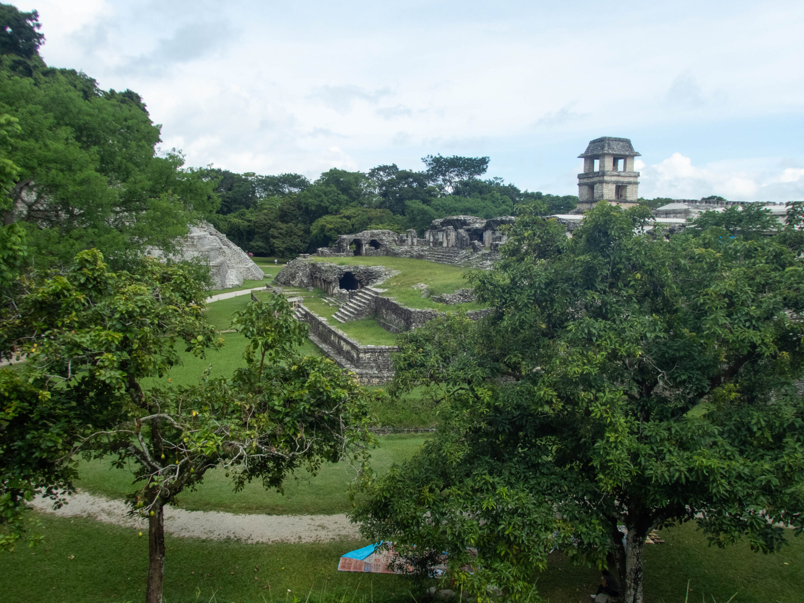 Mexico - Palenque - Looking over the centre of the site towards the palace