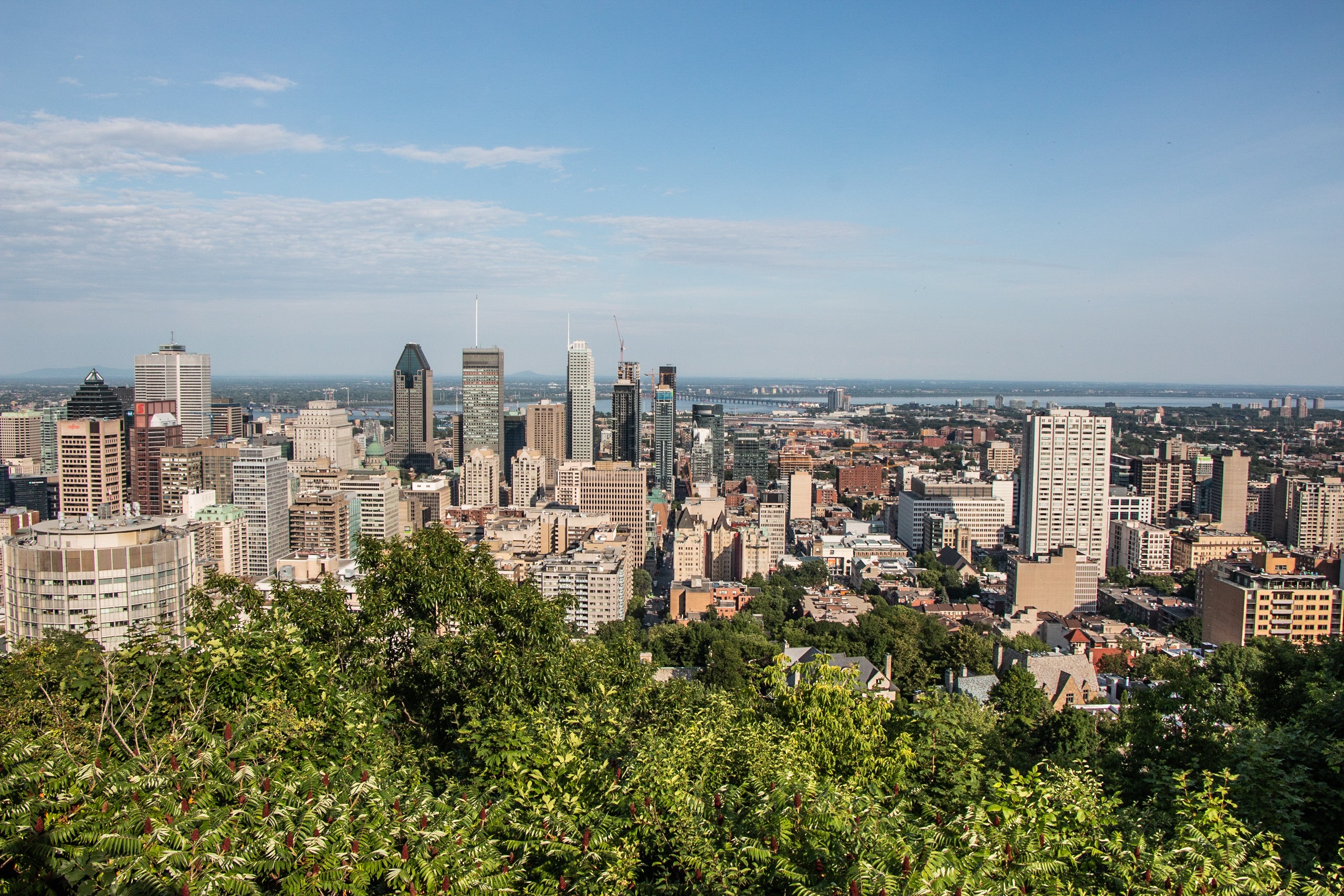 Views over Montreal from Mt Royal Park
