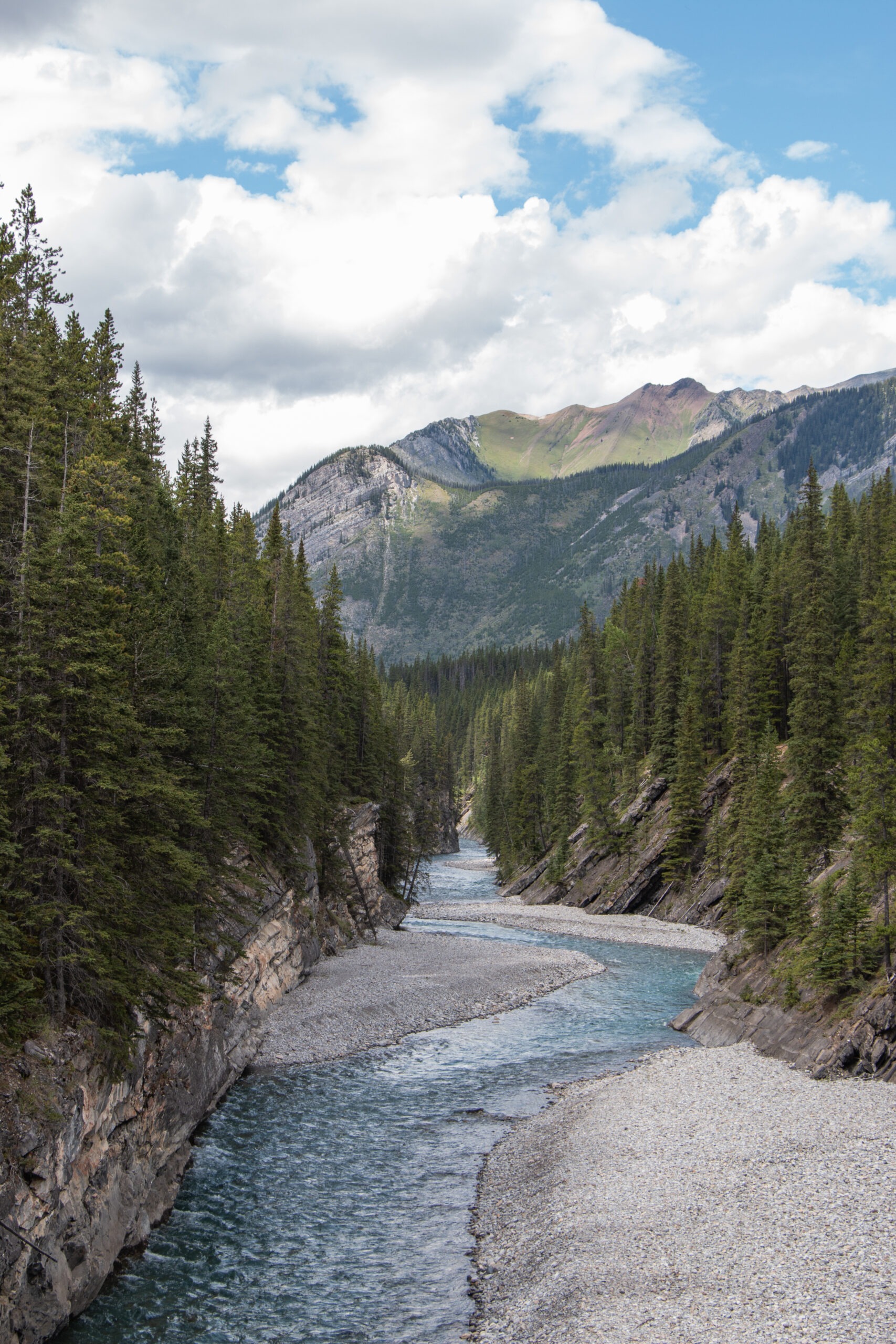 First day short trek near the town of Banff - meandering small river through the forests with the mountains in the distance.