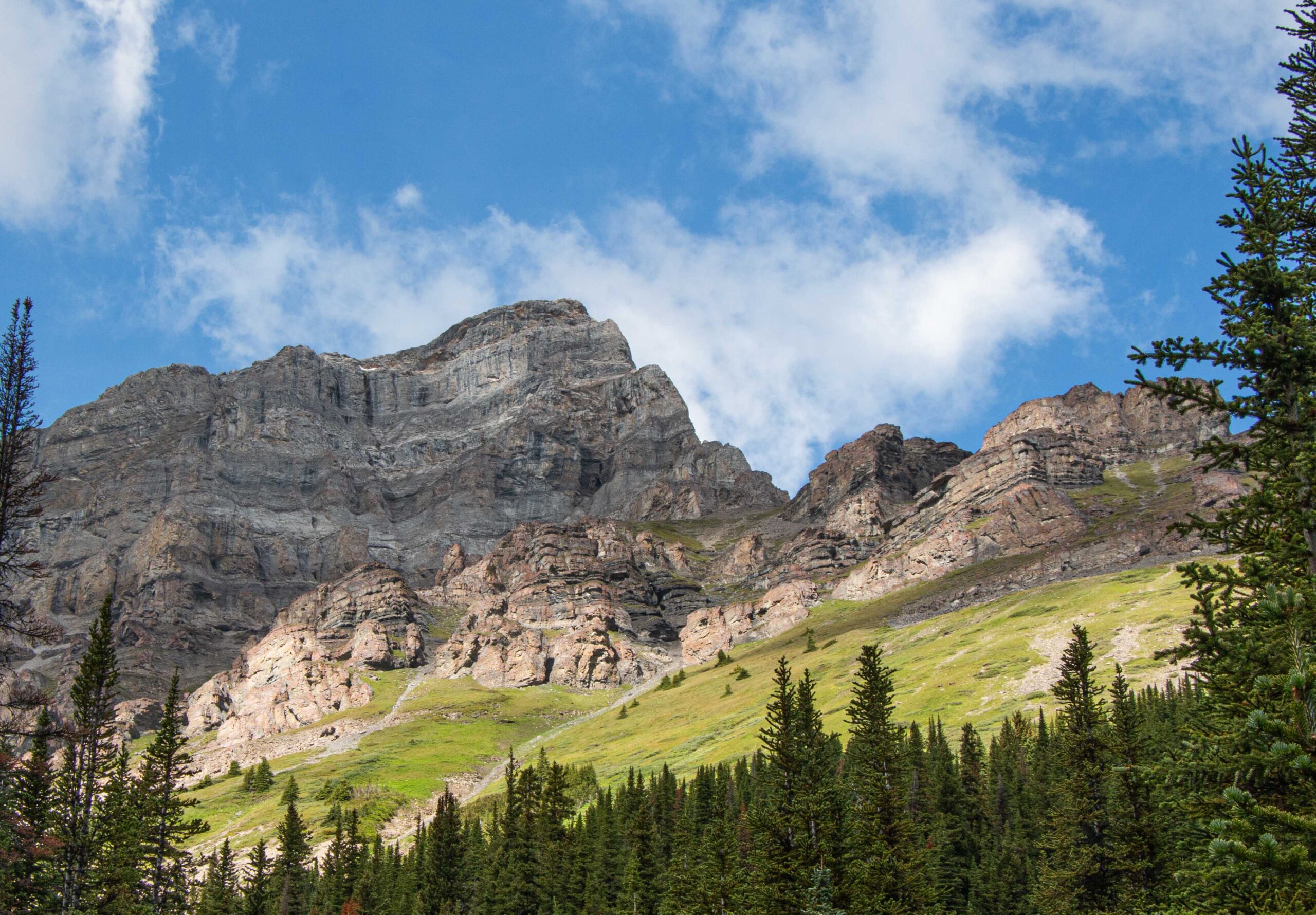Waterfall on the way to Harvey Pass- Banff National Park