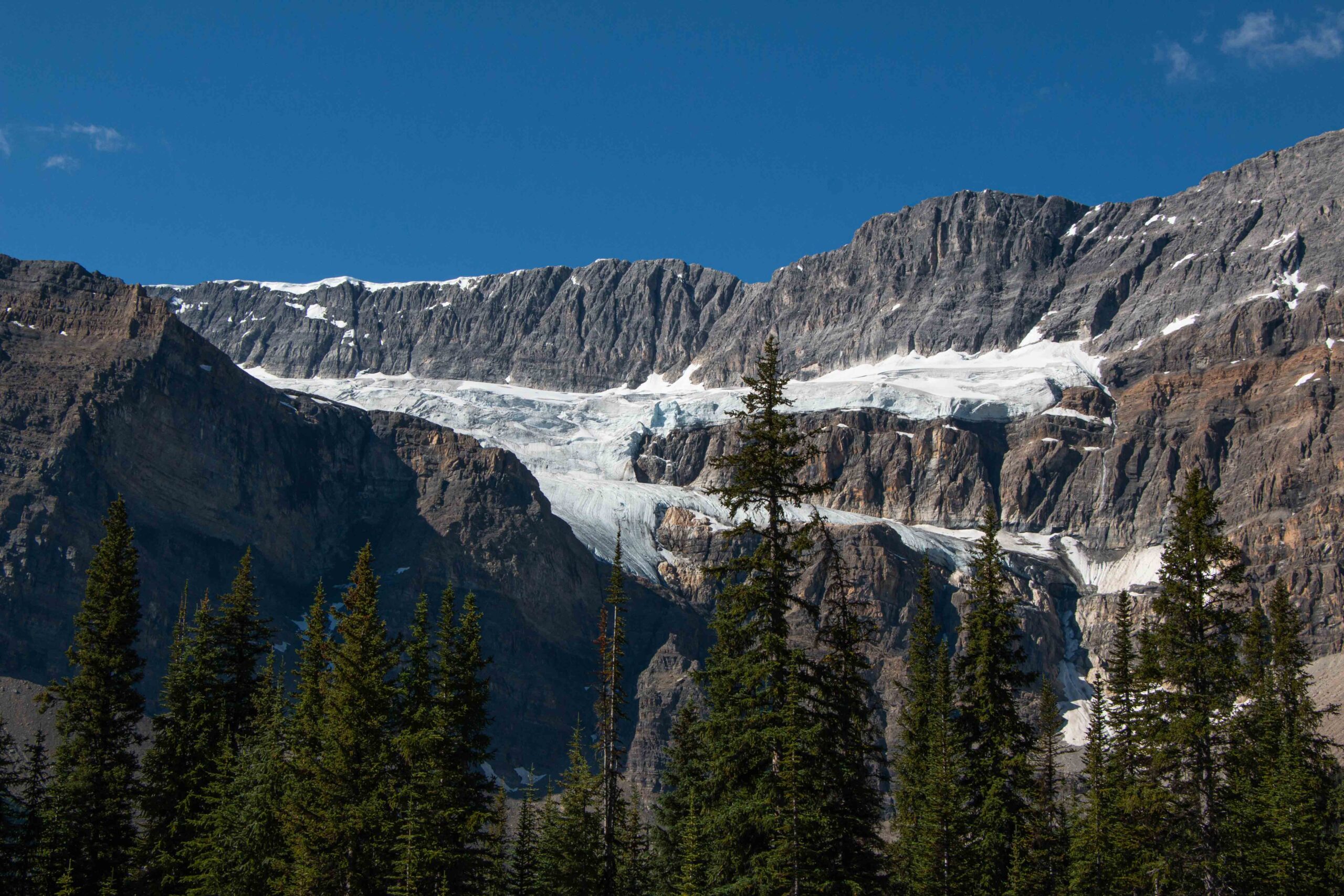Crowfoot glacier from the path to Peyto Lake