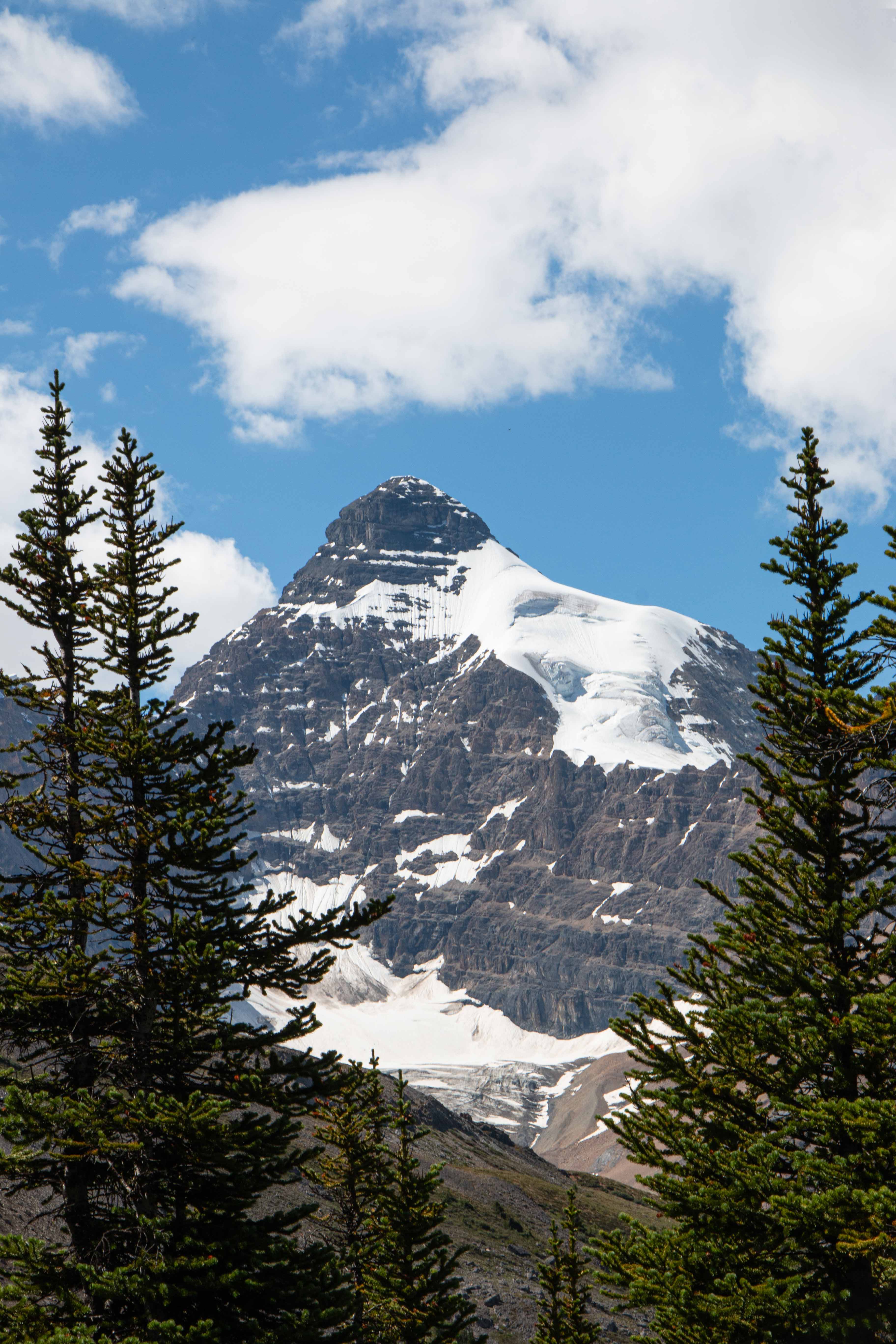 Mount Athabasca up close