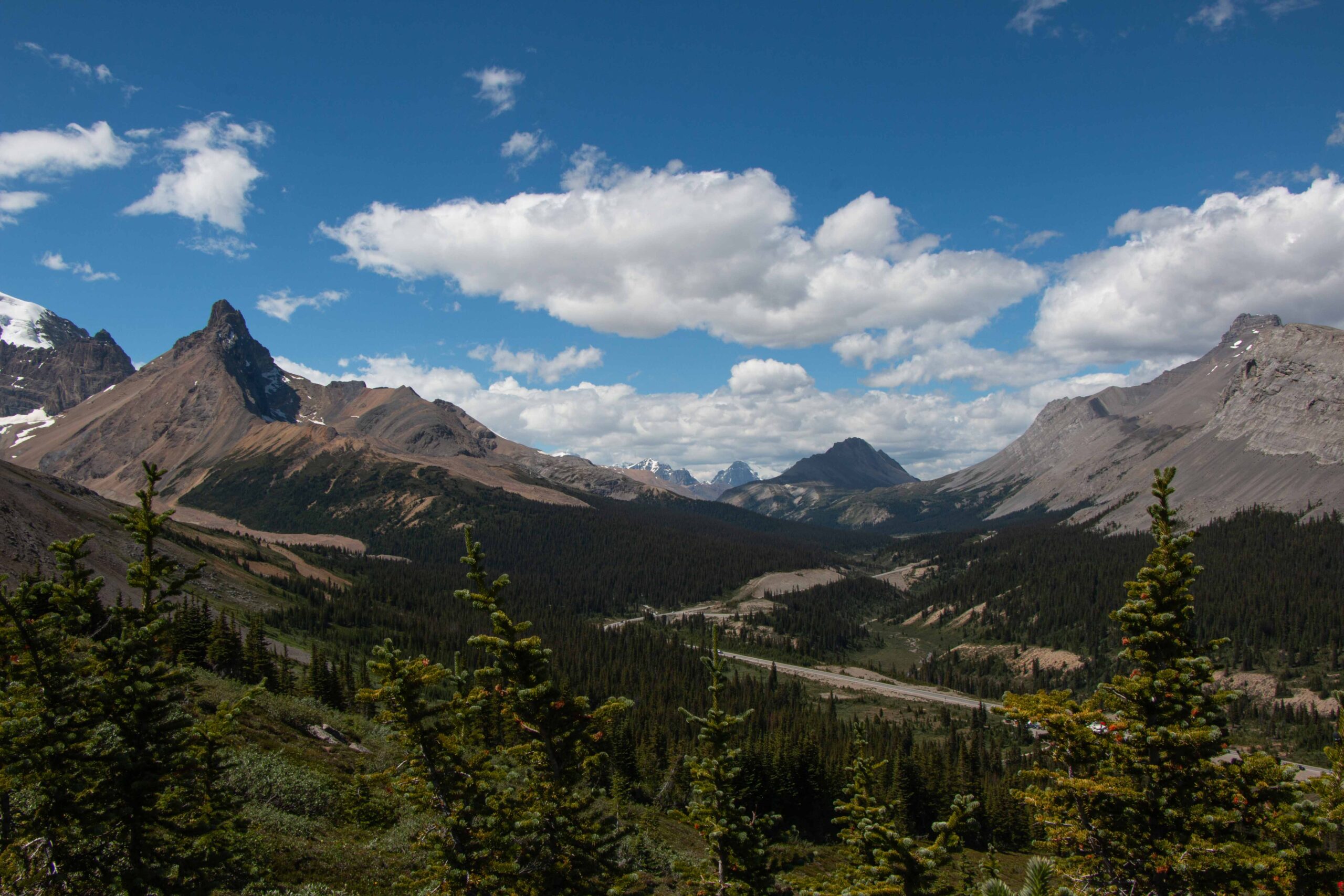 A verdant outward view from below Hilda Peak