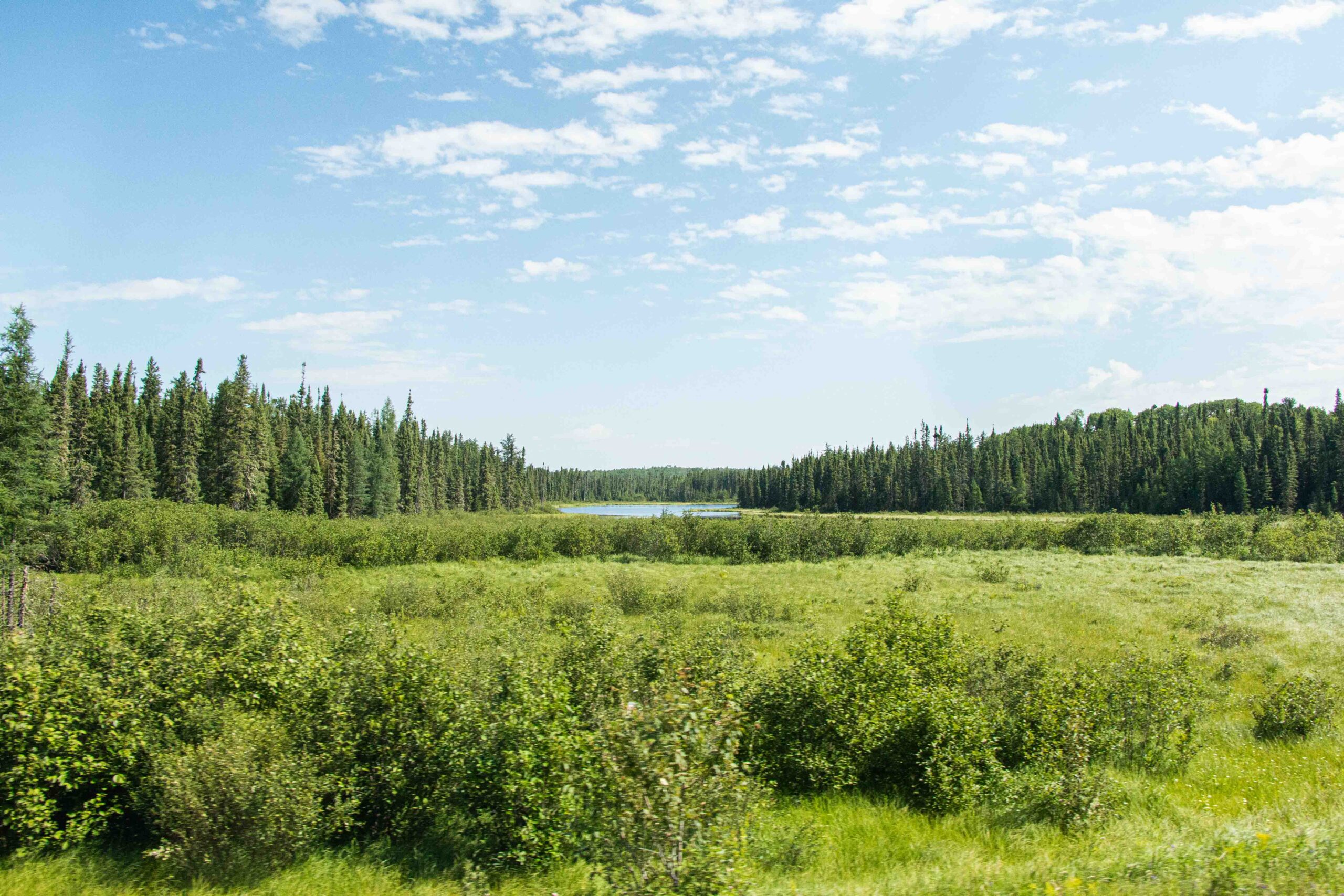Ontarios forests, lakes and rivers