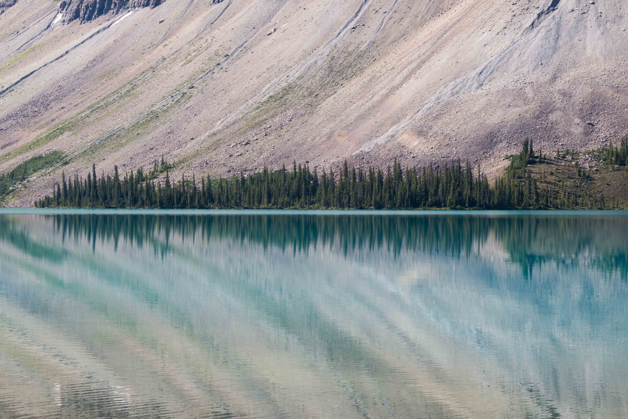 The subtle colours at the edge of Peyto Lake