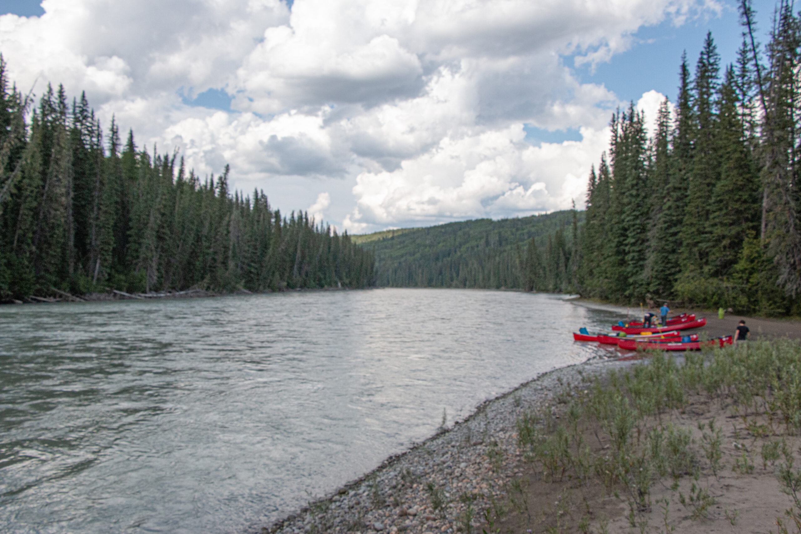 Little change in the Athabasca River scenery - day 2