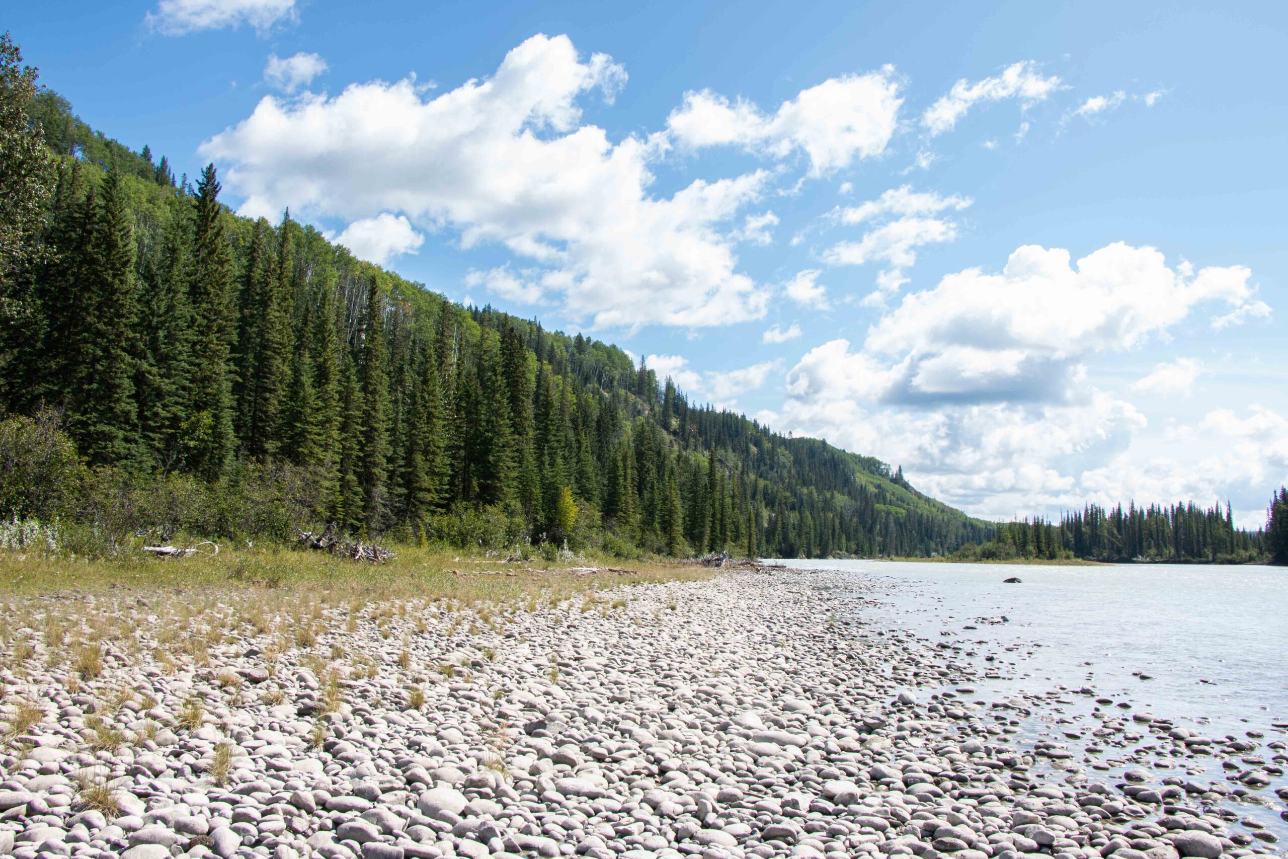 Little change in the Athabasca River scenery - day 3
