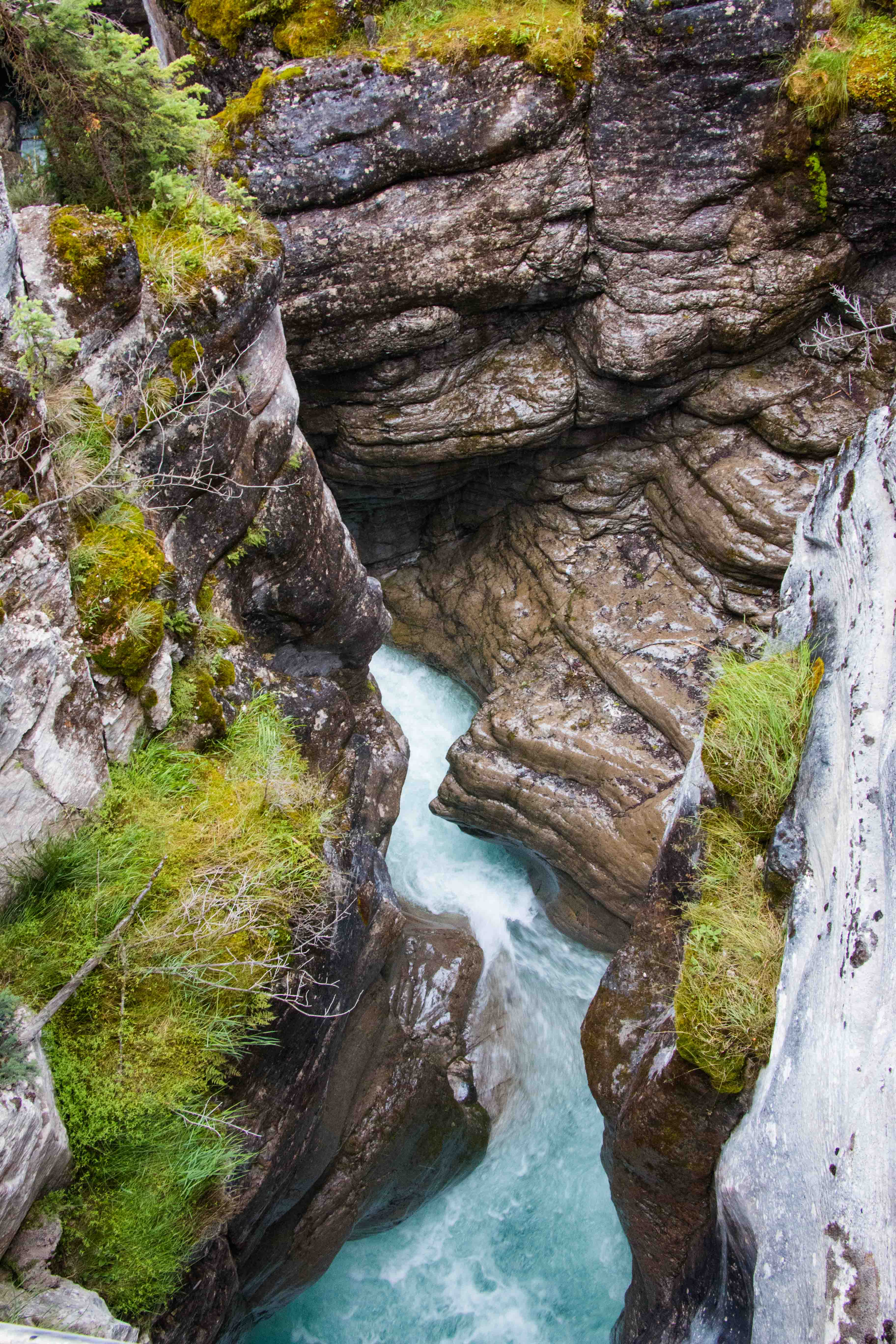 Maligne Canyon