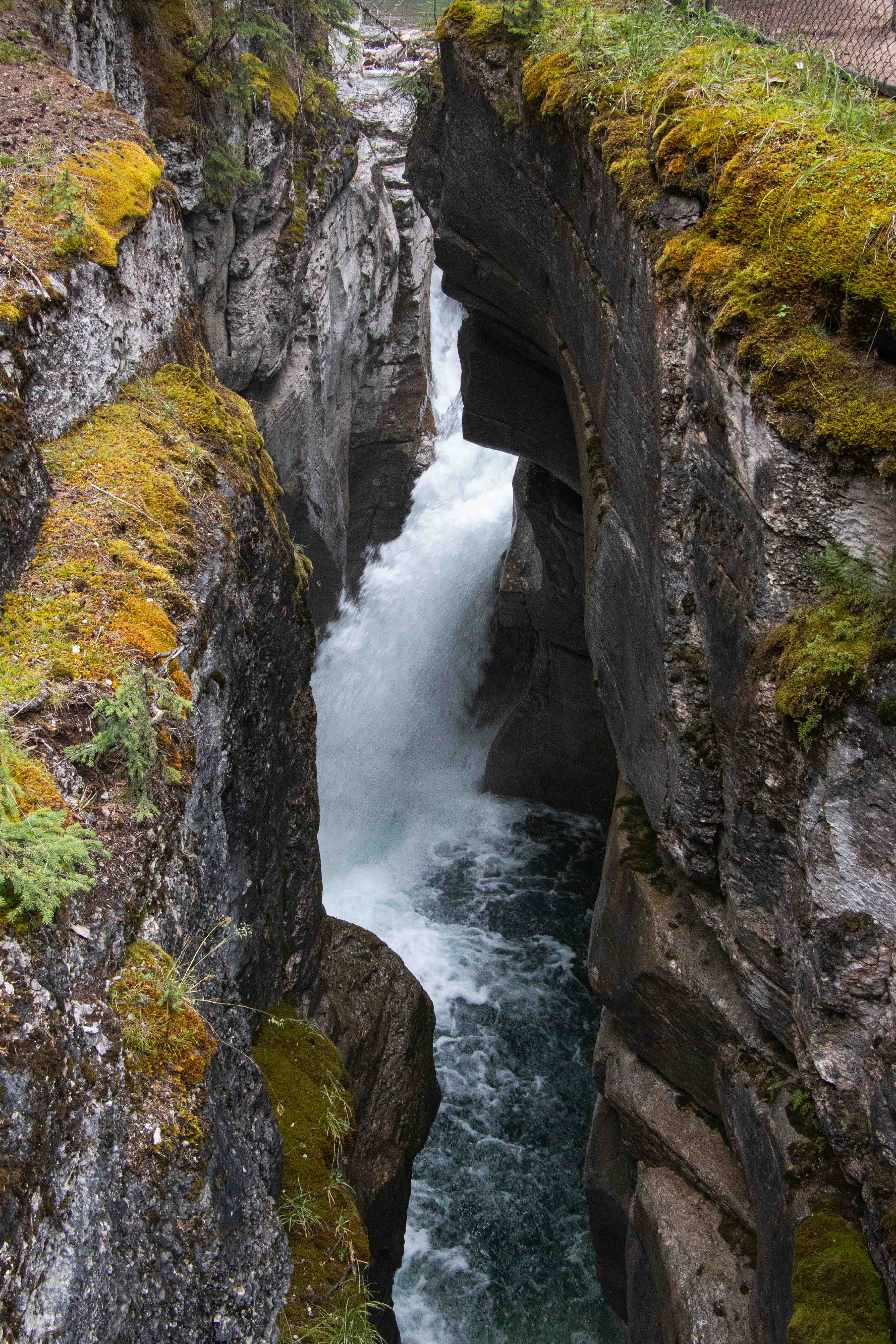 Maligne Canyon